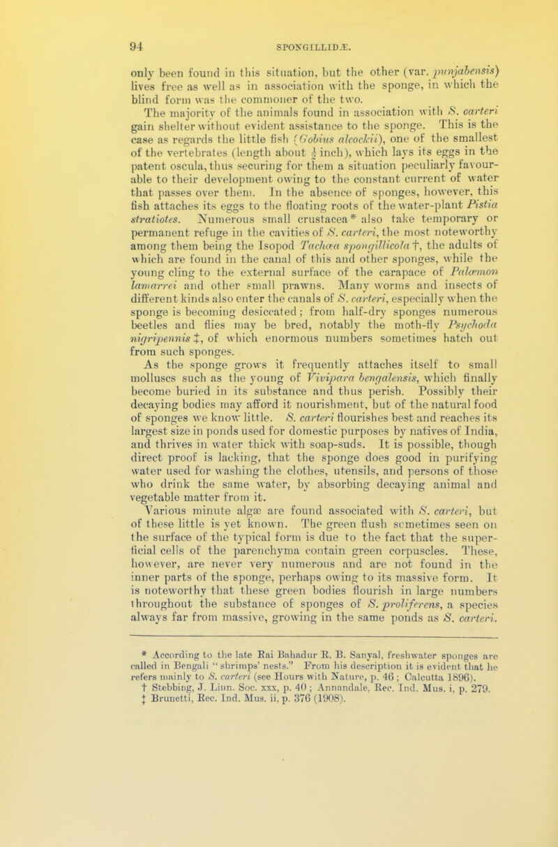 only been found in this situation, but the other (var. punjabensis) lives free as well as in association with the sponge, in which the blind form was the commoner of the two. The majority of the animals found in association with S. carteri. gain shelter without evident assistance to the sponge. This is the case as regards the little fish (Gobius alcochii), one of the smallest of the vertebrates (length about h inch), which lays its eggs in the patent oscula, thus securing for them a situation peculiarly favour- able to their development owing to the constant current of water that passes over them. In the absence of sponges, however, this tish attaches its eggs to the floating roots of the water-plant Pistict stratiotes. Numerous small Crustacea* also take temporary or permanent refuge in the cavities of S. carteri, the most noteworthy among them being the Isopod Tachoea spongillicota f, the adults of which are found in the canal of this and other sponges, while the young cling to the external surface of the carapace of Palcemon lamarrei and other small prawns. Many worms and insects of different kinds also enter the canals of S. carteri, especially when the sponge is becoming desiccated; from half-dry sponges numerous beetles and flies may be bred, notably the moth-fly Psyclioda nigripennis +, of which enormous numbers sometimes hatch out from such sponges. As the sponge grows it frequently attaches itself to small molluscs such as the young of Vivipara bengalensis, which finally become buried in its substance and thus perish. Possibly their decaying bodies may afford it nourishment, but of the natural food of sponges we know little. S. carteri flourishes best and reaches its largest size in ponds used for domestic purposes by natives of India, and thrives in water thick with soap-suds. It is possible, though direct proof is lacking, that the sponge does good in purifying water used for washing the clothes, utensils, and persons of those who drink the same water, by absorbing decaying animal and vegetable matter from it. Various minute algae are found associated with S. carteri, but of these little is yet known. The green flush sometimes seen on the surface of the typical form is due to the fact that the super- ficial cells of the parenchyma contain green corpuscles. These, however, are never very numerous and are not found in the inner parts of the sponge, perhaps owing to its massive form. It is noteworthy that these green bodies flourish in large numbers throughout the substance of sponges of S.proliferens, a species always far from massive, growing in the same ponds as 6'. carteri. * According to the late Eai Bahadur It. B. Sanyal, freshwater sponges are called in Bengali “shrimps’ nests.” From his description it is evident that he refers mainly to S. carteri (see Hours with Nature, p. 46 ; Calcutta 1896). t Stebbing, J. Linn. Soc. xxx, p. 40; Annandale, Bee. Ind. Mus. i, p. 279. + Brunetti, Bee. Ind. Mus. ii, p. 376 (1908).