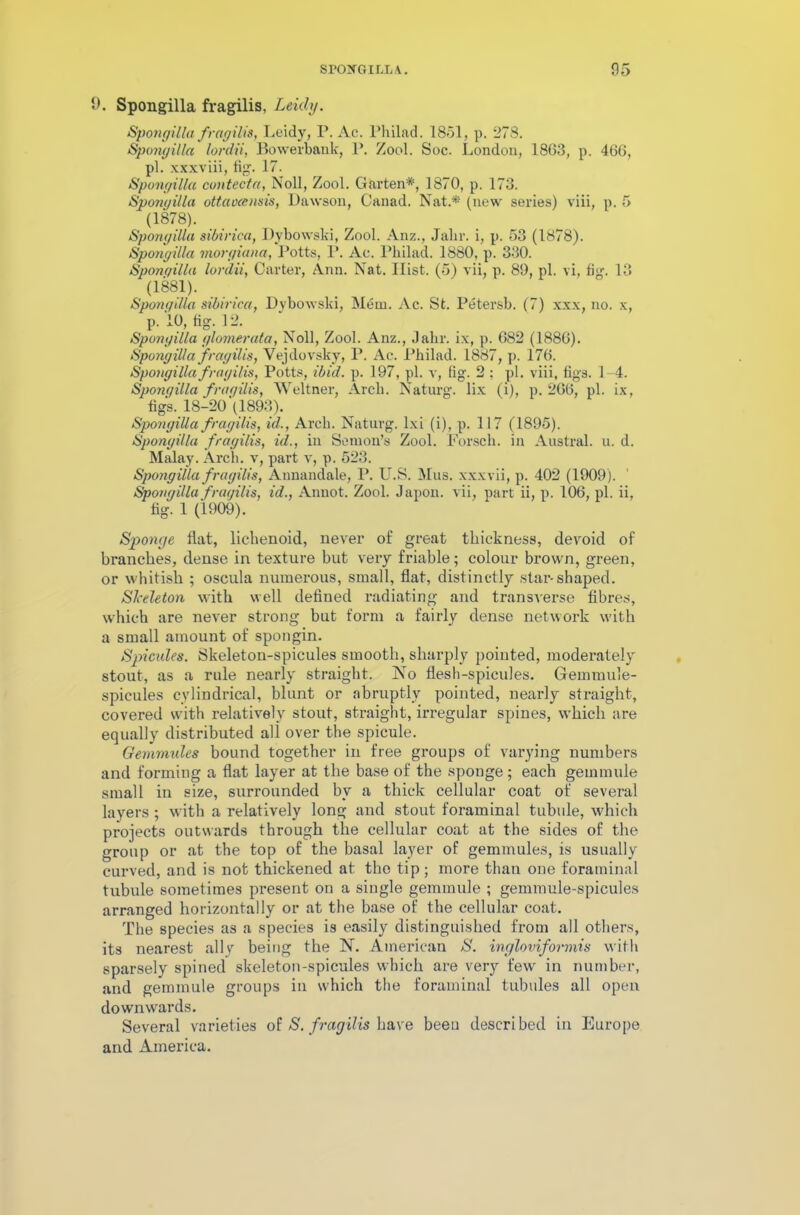 0. Spongilla fragilis, Leidy. Spongilla fragilis, Leidy, P. Ac. Philad. 1851, p. 273. Spongilla lordii, Bowerbank, 1*. Zool. Soc. London, 1863, p. 466, pi. xxxviii, fig. 17. Spongilla contecta, Noll, Zool. Garten*, 1870, p. 173. Spongilla ottaocensis, Dawson, Canad. Nat.* (new series) viii, p. 5 (1878). Spongilla sibirica, Dybowski, Zool. Anz., Jalir. i, p. 53 (1878). Spojigilla morgiana, Potts, P. Ac. Philad. 1880, p. 330. Spongilla lordii, Carter, Ann. Nat. Hist. (5) vii, p. 89, pi. vi, fig. 13 (1881). Spongilla sibirica, Dybowski, Mem. Ac. St. Petersb. (7) xxx, no. x, p.10, fig. 12. Spongilla glomerata, Noll, Zool. Anz., Jalir. ix, p. 682 (1886). Spongilla fragilis, Vejdovsky, P. Ac. Philad. 1887, p. 176. Spongilla fragilis, Potts, ibid. p. 197, pi. v, fig. 2 : pi. viii, figs. 1-4. Spongilla fragilis, Weltner, Arch. Naturg. lix (i), p.266, pi. ix, figs. 18-20'(1893). Spongilla fragilis, id., Arch. Naturg. Ixi (i), p. 117 (1895). Spongilla fragilis, id., in Semon’s Zool. borsch, in Austral, u. d. Malay. Arch, v, part v, p. 523. Spongilla fragilis, Atinandale, P. U.S. Mus. xxxvii, p. 402 (1909). Spongilla fragilis, id., Annot. Zool. Japon. vii, part ii, p. 106, pi. ii, fig. 1 (1909). Sponge flat, lichenoid, never of great thickness, devoid of branches, dense in texture but very friable; colour brown, green, or whitish ; oscula numerous, small, flat, distinctly star-shaped. Skeleton with well defined radiating and transverse fibres, which are never strong but form a fairly dense network with a small amount of spongin. Spicules. Skeleton-spicules smooth, sharply pointed, moderately stout, as a rule nearly straight. No flesh-spicules. Gemmule- spicules cylindrical, blunt or abruptly pointed, nearly straight, covered with relatively stout, straight, irregular spines, which are equally distributed all over the spicule. Gemvndes bound together in free groups of varying numbers and forming a flat layer at the base of the sponge; each gemmule small in size, surrounded by a thick cellular coat of several layers; with a relatively long and stout foraminal tubule, which projects outwards through the cellular coat at the sides of the group or at the top of the basal layer of gemmules, is usually curved, and is not thickened at the tip; more than one foraminal tubule sometimes present on a single gemmule ; gemmule-spicules arranged horizontally or at the base of the cellular coat. The species as a species is easily distinguished from all others, its nearest ally being the N. American S. ingloviformis with sparsely spined skeleton-spicules which are very few in number, and gemmule groups in which the foraminal tubules all open downwards. Several varieties of S. fragilis have beeu described in Europe and America.