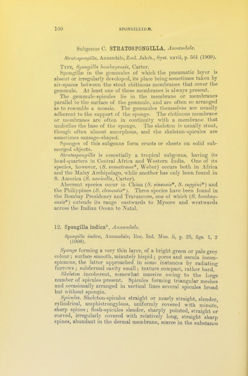 Subgenus C. STRATOSPONGILLA, Annandale. Stratospongilla, Annandale, Zool. Jahvb., Syst. xxvii, p. 561 (1909). Trim, Spongilla bombayensis, Carter. Spongilla} in the gemmules of which the pneumatic layer is absent or irregularly developed, its place being sometimes taken by air-spaces between the stout chitinous membranes that cover the gemmule. At least one of these membranes is always present. The gemmule-spicules lie in the membrane or membranes parallel to the surface of the gemmule, and are often so arranged as to resemble a mosaic. The gemmules themselves are usually adherent to the support of the sponge. The chitinous membrane or membranes are often in continuity with a membrane that underlies the base of the sponge. The skeleton is usually stout, though often almost amorphous, and the skeleton-spicules are sometimes sausage-shaped. Sponges of this subgenus form crusts or sheets on solid sub- merged objects. Stratospongilla is essentially a tropical subgenus, having its head-quarters in Central Africa and Western India. One of its species, however, (S. sumatrana*, Weber) occurs both in Africa and the Malay Archipelago, while another has only been found iu S. America (S. navicella, Carter). Aberrant species occur in China (S. sinensis*, S. coggini*) and the Philippines (S. dementis*). Three species have been found in the Bombay Presidency and Travail core, one of which (S. bombay- ensis*) extends its range eastwards to Mysore and westwards across the Indian Ocean to Natal. 12. Spongilla indica*, Annandale. Spongilla indica, Annandale, l!ec. Ind. Mus. ii, p. 25, fio-s 1 2 (1908). Sponge forming a very thin layer, of a bright green or pale grey colour; surface smooth, minutely hispid; pores and oscula incon- spicuous, the latter approached in some instances by radiating furrows ; subdermal cavity small; texture compact, rather hard. Skeleton incoherent, somewhat massive owing to the large number of spicules present. Spicules forming triangular meshes and occasionally arranged in vertical lines several spicules broad bub without spongin. Spicules. Skeleton-spicules straight or nearly straight, slender cylindrical, amphistrongylous, uniformly covered with minute* sharp spines; flesh-spicules slender, sharply pointed, straight or curved, irregularly covered with relatively long, straight sharp spines, abundant in the dermal membrane, scarce in the substance