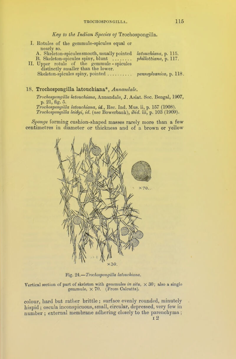 Key to the Indian Species of Trochospongilla. I. Rotules of the gemmule-spicules equal or nearly so. A. Skeleton-spicules smooth, usually pointed latouchiana, p. 115. B. Skeleton-spicules spiny, blunt phillottiana, p. 117. II. Upper rotule of the gemmule - spicules distinctly smaller than the lower. Skeleton-spicules spiny, pointed pentisylvanica, p. 118. 18. Trochospongilla latouchiana*, Annandale. Trochospongilla latouchiana, Annandale, J. Asiat. Soc. Bengal, 1907, p. 21, fig. 5. Trochospongilla latouchiana, id., Rec. Ind. Mus. ii, p. 157 (1908). Trochospongilla leidgi, id. (nec Bowerbank), ibid, iii, p. 103 (1909). Sponge forming cushion-shaped masses rarely more than a few centimetres in diameter or thickness and of a brown or yellow Fig. 24.—Trochospongilla latouchiana. Vertical section of part of skeleton with gemmules in situ, X 30; also a single gemmule, X 70. (From Calcutta). colour, hard but rather brittle ; surface evenly rounded, minutely hispid ; oscula inconspicuous, small, circular, depressed, very few in number ; external membrane adhering closely to the parenchyma ; i 2