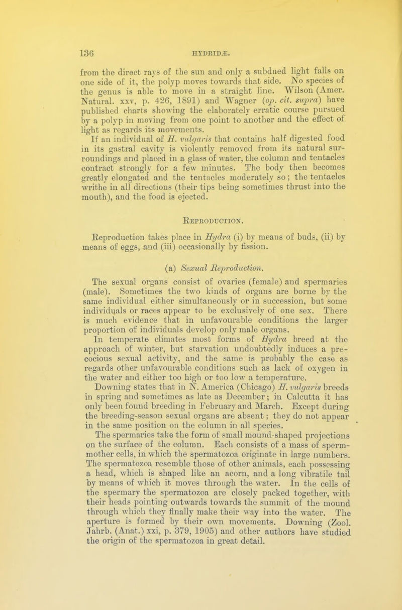 from the direct rays of the sun and only a subdued light falls on one side of it, the polyp moves towards that side. No species of the genus is able to move iu a straight line. Wilson (Amer. Natural, xxv, p. 426, 1891) and Wagner (op. cit. supra) have published charts showing the elaborately erratic course pursued by a polyp in moving from one point to another and the effect ot light as regards its movements. If an individual of II. vulc/aris that contains half digested food in its gastral cavity is violently removed from its natural sur- roundings and placed in a glass of water, the column and tentacles contract strongly for a few minutes. The body then becomes greatly elongated and the tentacles moderately so; the tentacles writhe in all directions (their tips being sometimes thrust into the mouth), and the food is ejected. Reproduction. Reproduction takes place in Hydra (i) by means of buds, (ii) by means of eggs, and (iii) occasionally by fission. (a) Sexual Reproduction. The sexual organs consist of ovaries (female) and spermaries (male). Sometimes the two kinds of organs are borne by the same individual either simultaneously or in succession, but some individuals or races appear to be exclusively of one sex. There is much evidence that in unfavourable conditions the larger proportion of individuals develop only male organs. In temperate climates most forms of Hydra breed at the approach of winter, but starvation undoubtedly induces a pre- cocious sexual activity, and the same is probably the case as regards other unfavourable conditions such as lack of oxygen in the water and either too high or too low a temperature. Downing states that in N. America (Chicago) II. vulgaris breeds in spring and sometimes as late as December; in Calcutta it has only been found breeding in February and March. Except during the breediug-seasou sexual organs are absent; they do not appear in the same position on the column in all species. The spermaries take the form of small mound-shaped projections on the surface of the column. Each consists of a mass of sperm- mother cells, in which the spermatozoa originate in large numbers. The spermatozoa resemble those of other animals, each possessing a head, which is shaped like an acorn, and a long vibratile tail by means of which it moves through the water. In the cells of the spermary the spermatozoa are closely packed together, with their heads pointing outwards towards the summit of the mound through which they finally make their way into the water. The aperture is formed by their own movements. Downing (Zool. Jahrb. (Anat.) xxi, p. 379, 1905) and other authors have studied the origin of the spermatozoa in great detail.