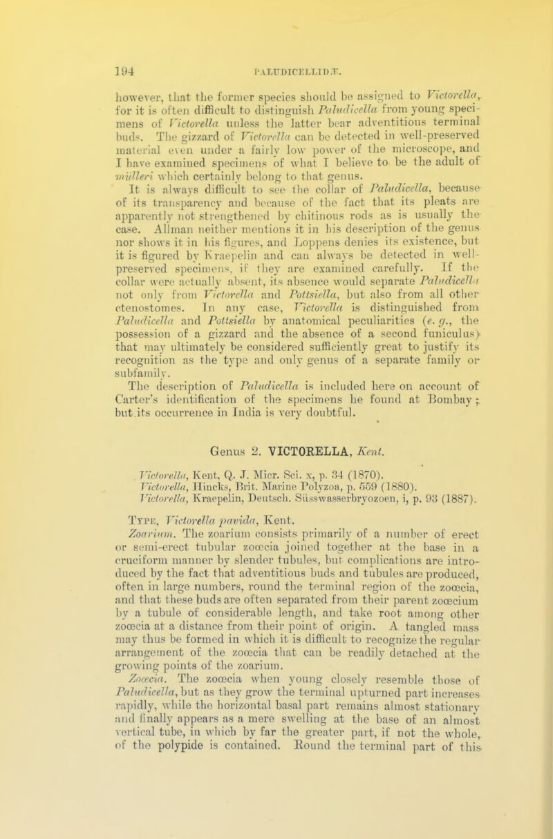 however, that the former species slioukl be assigned to Victorella, for it is often difficult to distinguish Paludicella from young speci- mens of Victorella unless the latter bear adventitious terminal buds. The gizzard of Victorella can be detected in well-preserved material even under a fairly low power of the microscope, and I have examined specimens of what I believe to be the adult oi vviilleri which certainly belong to that genus. It is always difficult to see the collar of Paludicella, because of its transparency and because of the fact that its pleats are apparently not. strengthened by chitinous rods as is usually the case. Allman neither mentions it in his description of the genus nor shows it in his figures, and Loppens denies its existence, but it is figured bv Kraepelin and can always be detected in well- preserved specimens, if they are examined carefully. If the collar were actually absent, its absence would separate Paludicella not only from Victorella and Pottsiella, but also from all other ctenostomes. In any case, Victorella is distinguished from Paludicella and Pottsiella by anatomical peculiarities (e. r/., the possession of a gizzard and the absence of a second funiculus) that may ultimately be considered sufficiently great to justify its recognition as the type and only genus of a separate family or subfamily. The description of Paludicella is included here on account of Carter’s identification of the specimens he found at Bombay - but its occurrence in India is very doubtful. Genus 2. VICTORELLA, Kent. Victorella, Kent, Q. J. Micr. Sci. x, p. 34 (1870). Victorella, Ilincks, Brit. Marine Polyzoa, p. 559 (1880). Victorella, Kraepelin, Deutsch. Siisswasserbryozoen, i, p. 93 (1887). Type, Victorella pavida, Kent. Zoarium. The zoarium consists primarily of a number of erect or semi-erect tubular zocecia joined together at the base in a cruciform manner by slender tubules, but complications are intro- duced by the fact that adventitious buds and tubules are produced, often in large numbers, round the terminal region of the zooecia, and that these buds are often separated from their parent zoceeium by a tubule of considerable length, and take root among other zooecia at a distance from their point of origin. A tangled mass may thus be formed in which it is difficult to recognize the regular arrangement of the zocecia that can be readily detached at the growing points of the zoarium. Zocecia. The zooecia when young closely resemble those of Paludicella, but as they grow the terminal upturned part increases rapidly, while the horizontal basal part remains almost stationary and finally appears as a mere swelling at the base of an almost vertical tube, in which by far the greater part, if not the whole, of the polypide is contained. Round the terminal part of this-