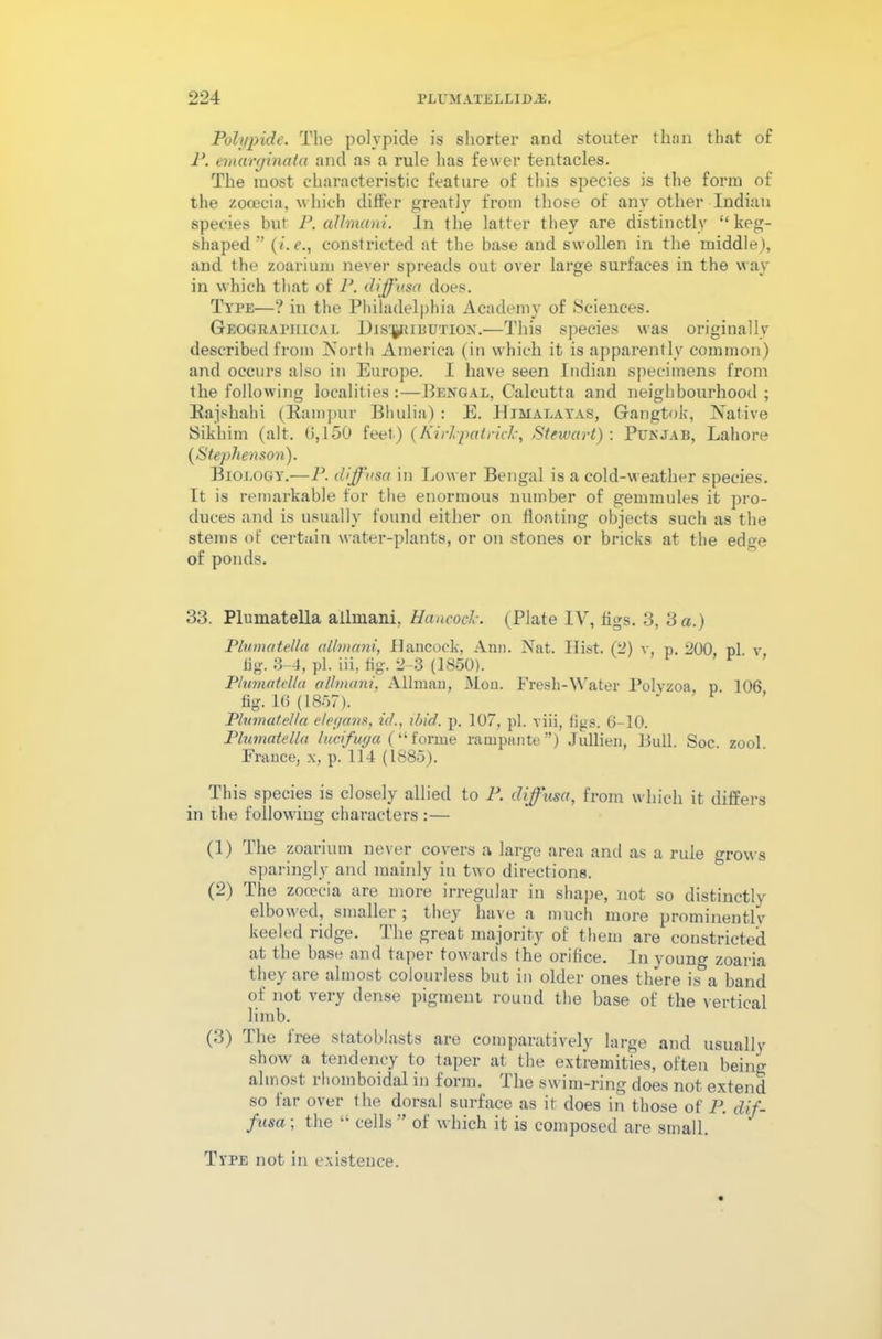 Polypide. The polvpide is shorter and stouter than that of P. emarginata and as a rule has fewer tentacles. The most characteristic feature of this species is the form of the zocecia, which differ greatly from those of any other Indian species but P. allmani. In the latter they are distinctly “keg- shaped ” (<’. e., constricted at the base and swollen in the middle), and the zoarium never spreads out over large surfaces in the way in which that of P. diffusa does. Type—? in the Philadelphia Academy of Sciences. Geographical Dis'piuuxiON.—This species was originally described from North America (in which it is apparently common) and occurs also in Europe. I have seen Indian specimens from the following localities :—Bengal, Calcutta and neighbourhood ; Rajshahi (Bampur Bhulia) : E. Himalayas, Gangtok, Native Sikhim (alt. (5,150 feet.) (Kirkpatrick, Stewart): Pukjar, Lahore (Stephenson). Biology.—P. dffusa in Lower Bengal is a cold-weather species. It is remarkable for the enormous number of gemmules it pro- duces and is usually found either on floating objects such as the stems of certain water-plants, or on stones or bricks at the edge of ponds. 33. Plumatella allmani, Hancock. (Plate IV, figs. 3, 3 a.) Plumatella allmani, Hancock, Ann. Nat. Hist. (2) v, p. 200, pi. v tig. 3-4, pi. iii, fig. 2-3 (1850). Plumatella allmani, Allman, Mon. Fresh-Water Polyzoa, p. 106 tig. 16 (1857). _ Plumatella e/egans, id., ibid. p. 107, pi. viii, figs. 6-10. Plumatella lucifuga (“ forme rampante ”) Jullien, Bull. Soc. zool. France, x, p. 114 (1885). This species is closely allied to P. d ffusa, from which it differs in the following characters :— (1) The zoarium never covers a large area and as a rule grows sparingly and mainly in two directions. (2) The zocecia are more irregular in shape, not so distinctly elbowed, smaller 5 they have a much more prominently keeled ridge. The great majority of them are constricted at the base and taper towards the orifice. In young zoaria they are almost colourless but in older ones there is a band of not very dense pigment round the base of the vertical limb. (3) The free statohlasts are comparatively large and usually show a tendency to taper at the extremities, often being almost rhomboidal in form. I he swim-ring does not extend so far over the dorsal surface as it does in those of P. dif- fusa-, the “ cells” of which it is composed are small. Type not in existence.