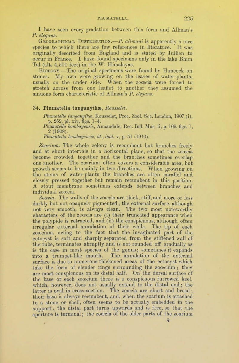 I have seen every gradation between this form and Allman’s P. elegans. Geographical Distribution.—P. allmani is apparently a rare species to which there are few references in literature. It was originally described from England and is stated by Jullien to occur in France. I have found specimens only in the lake Bhim Tal (alt. 4,500 feet) in the W. Himalayas. Biology.—The original specimens were found by Hancock on stones. My own were growing on the leaves of water-plants, usually on the under side. When the zooecia were forced to stretch across from one leaflet to another they assumed the sinuous form characteristic of Allman's P. elegans. 34. Plumatella tanganyikae, Eousselet. Plumaiellci tanganyika, Rousselet, Proc. Zool. Soc. London, 1907 (i), p. 252, pi. xiv, tigs. 1-4. Plumatella bombayensis, Annandale, Ree. Ind. Mus. ii, p. 169, figs. 1, 2 (1908). Plumatella bombayensis, id., ibid, v, p. 51 (1910). Zoarium. The whole colony is recumbent but branches freely and at short intervals in a horizontal plane, so that the zooecia become crowded together and the branches sometimes overlap one another. The zoarium often covers a considerable area, but growth seems to be mainly in two directions. When growing on the stems of water-plants the branches are often parallel and closely pressed together but remain recumbent in this position. A stout membrane sometimes extends between branches and individual zooecia. Zooecia. The walls of the zooecia are thick, stiff, and more or less darkly but not opaquely pigmented; the external surface, although not very smooth, is always clean. The two most noteworthy characters of the zooecia are (i) their truncated appearance when the polypide is retracted, and (ii) the conspicuous, although often irregular external annulation of their walls. The tip of each zooecium, owing to the fact that the invaginated part of the ectocyst is soft and sharply separated from the stiffened wall of the tube, terminates abruptly and is not rounded off gradually as is the case in most species of the genus; sometimes it expands into a trumpet-like mouth. The annulation of the external surface is due to numerous thickened areas of the ectocyst which take the form of slender rings surrounding the zooecium ; they are most conspicuous on its distal half. On the dorsal surface of the base of each zocecium there is a conspicuous furrowed keel, which, however, does not usually extend to the distal end; the latter is oval in cross-section. The zooecia are short and broad; their base is always recumbent, and, when the zoarium is attached to a stone or shell, often seems to be actually embedded in the support; the distal part turns upwards and is free, so that the aperture is terminal; the zooecia of the older parts of the zoarium Q