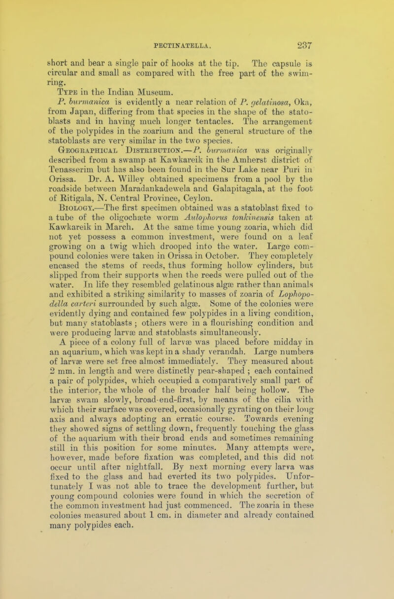 short and bear a single pair of hooks at the tip. The capsule is circular and small as compared with the free part of the swim- ring. Type in the Indian Museum. P. burmanica is evidently a near relation of P. gelatinosa, Oka, from Japan, differing from that species in the shape of the stato- blasts and in having much longer tentacles. The arrangement of the polypides in the zoarium and the general structure of the statoblasts are very similar in the two species. Geographical Distribution.—P. burmanica was originally described from a swamp at. Kawkareik iu the Amherst district of Tenasserim but has also been found in the Sur Lake near Puri in Orissa. Dr. A. Willey obtained specimens from a pool by the roadside between Maradankadewela and Galapitagala, at the foot of Ritigala, N. Central Province, Ceylon. Biology.—The first specimen obtained was a statoblast fixed to a tube of the oligochaete worm Aulophorus tonkinensis taken at Kawkareik in March. At the same time young zoaria, which did not yet possess a common investment, were found on a leaf growing on a twig which drooped into the water. Large com- pound colonies were taken in Orissa in October. They completely encased the stems of reeds, thus forming hollow cylinders, but slipped from their supports when the reeds were pulled out of the water. In life they resembled gelatinous algce rather than animals and exhibited a striking similarity to masses of zoaria of Lophopo- della carteri surrounded by such algae. Some of the colonies were evidently dying and contained few polypides in a living condition, but many statoblasts ; others were in a flourishing condition and were producing larvae and statoblasts simultaneously. A piece of a colony full of larvae was placed before midday in an aquarium, v hich was kept in a shady verandah. Large numbers of larvae were set free almost immediately. They measured about 2 mm. in length and wrere distinctly pear-shaped ; each contained a pair of polypides, which occupied a comparatively small part of the interior, the whole of the broader half being hollow. The larvae swam slowly, broad-end-first, by means of the cilia with which their surface wras covered, occasionally gyrating on their long axis and always adopting an erratic course. Towards evening they showed signs of settling down, frequently touching the glass of the aquarium with their broad ends and sometimes remaining still in this position for some minutes. Many attempts were, however, made before fixation was completed, and this did not occur until after nightfall. By next morning every larva was fixed to the glass and had everted its two polypides. Unfor- tunately I was not able to trace the development further, but young compound colonies were found in which the secretion of the common investment had just commenced. The zoaria in these colonies measured about 1 cm. in diameter and already contained many polypides each.