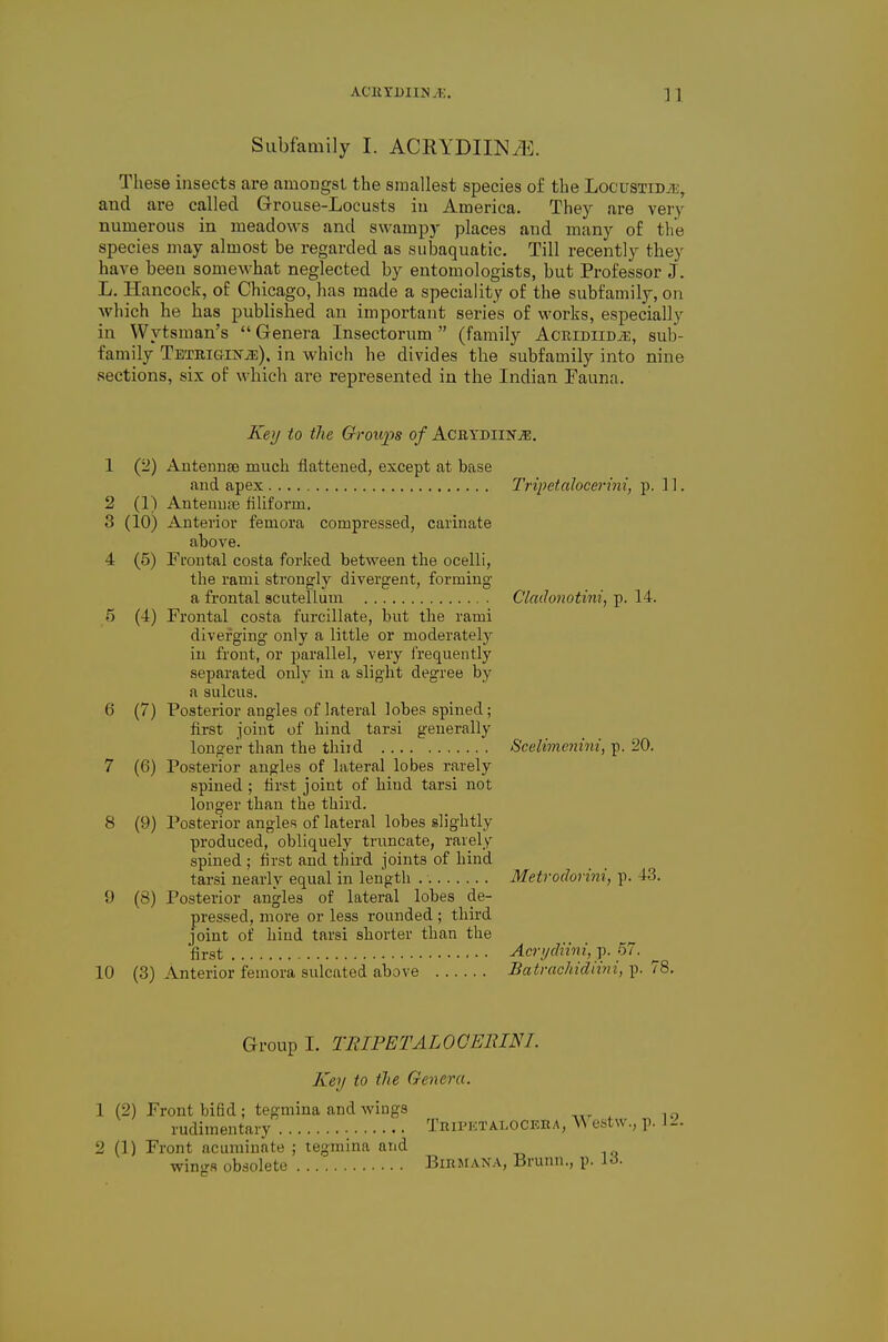 Subfamily I. ACRYDIINtE. These insects are amongst the smallest species of the LocusiiDiE, and are called Grouse-Locusts iu America. They are very numerous in meadows and swampy places and many of the species may almost be regarded as siibaquatic. Till recently they have been somewhat neglected by entomologists, but Professor J. L, Hancock, of Chicago, has made a speciality of the subfamily, on which he has published an important series of works, especially in Wytsman's  Genera Insectorum  (family Aoridiidje, sub- family TBTRiGiifiE). in which he divides the subfamily into nine sections, six of which ai-e represented in the Indian Fauna. Keij to the Groups of Acb,ydiiNj33, 1 (2) Antennae much flattened, except at base and apex Tripetalocerhii, p. 11, 2 (1) AnteuuPB filiform. 3 (10) Anterior femora compressed, carinate above. 4 (5) Frontal costa forked between the ocelli, the rami strongly divergent, forming a frontal scutellum Clathtiotini, p. 14. 5 (4) Frontal costa furcillate, but the rami diverging only a little or moderately iu front, or parallel, very frequently separated only in a slight degree by a sulcus. 6 (7) Posterior angles of lateral lobes spined; first joint of hind tarsi generally longer than the thiid Scetimenini, p. 20. 7 (6) Posterior angles of lateral lobes rarely spined ; first joint of hind tarsi not longer than the third. 8 (9) Posterior angles of lateral lobes slightly produced, obliquely truncate, rarely spined ; first and third joints of hind tarsi nearly equal in length Metrodorini, p. 43. 9 (8) Posterior angles of lateral lobes de- pressed, more or less rounded ; third ]oint of hind tarsi shorter than the ■first Acri/diini,]). 57. 10 (3) Anterior femora sulcated above Batrachidiini, p. 78, Group I. TIUPETALOCEIUNL Key to the Genera. 1 (2) Front bifid; tegmina and wings rudimentary Tripetalooeka, Westw., p. 12. 2 (1) Front acuminate ; tegmina and wings obsolete Bibmana, Brunn., p. i^.