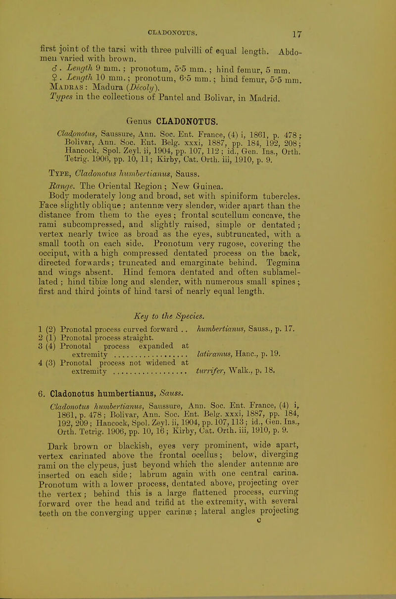 first joint of the tarsi with three pulvilli of equal length. Abdo- men varied with brown. 6 . Length 9 mm.; prouotum, 5-5 mm. ; hind femur, 5 mm. 2 . Lencfth 10 mm.; pronotum, 6-5 mm.; hind femur, 5-5 mm. Madras : Madura (Decoly). 'Types in the coUectious of Pantel and Bolivar, in Madrid. Gemxs CLADONOTUS. Cladpnotus, Saussure, Ann. Soc. Ent. France, (4) i, 1861, p. 478 ; Bolivar, Ann. Soc. Ent. Belg. xxxi, 1887, pp. 184, 192, 208; Hancock, Spol. Zeyl. ii, 1904, pp. 107, 112; id.. Gen. Ins., Orth. Tetrig. 1906, pp. 10, 11; Kirby, Cat. Ortli. iii, 1910, p. 9. Type, Cladonotus humhertianus, Sauss. Banr/e. The Oriental Eegion ; New Gruinea. Body moderately long and broad, set with spiniform tubercles. Face slightly oblique; antennae very slender, wider apart than the distance from them to the eyes; frontal scutellum concave, the rami subcompressed, and slightly raised, simple or dentated; vertex nearly twice as broad as the eyes, subtruncated, with a small tooth on each side. Pronotum very rugose, covering the occiput, with a high compressed dentated process on the back,, directed forwards; truncated and emarginate behind. Tegmina and wings absent. Hind femora dentated and often sublamel- lated ; hind tibiae long and slender, with numerous small spines first and third joints of hind tarsi of nearly equal length. Key to ilie Species. 1 (2) Pronotal process curved forward .. hmnhertiamis, Sauss., p. 17. 2 (1) Pronotal process straight. 3 (4) Pronotal process expanded at extremity latiramus, Hanc, p. 19. 4 (3) Pronotal process not widened at extremity turrifer, Walk., p. 18. 6. Cladonotus humbertianus, Sauss. Cliidonotus humbertianus, Saussure, Ann. Soc. Ent. France, (4) i, 1861, p. 478; BoUvar, Ann. Soc. Ent. Belg. xxxi, 1887, pp. 184, 192, 209; Hancock, Spol. Zeyl. ii, 1904, pp. 107,113 ; id., Geu. Ins., Orth. Tetrig. 1906, pp. 10, 16; Kirby, Cat. Orth. iii, 1910, p. 9. Dark brown or blackish, eyes very prominent, wide apart, vertex carinated above the frontal ocellus; below, diverging rami on the clypeus, just beyond which the slender antennae are inserted on each side; labrum again with one central carina. Pronotum with a lower process, dentated above, projecting oyer the vertex; behind this is a large flattened process, carving forward over the head and trifid at the extremity, with several teeth on the converging upper carinae; lateral angles projecting