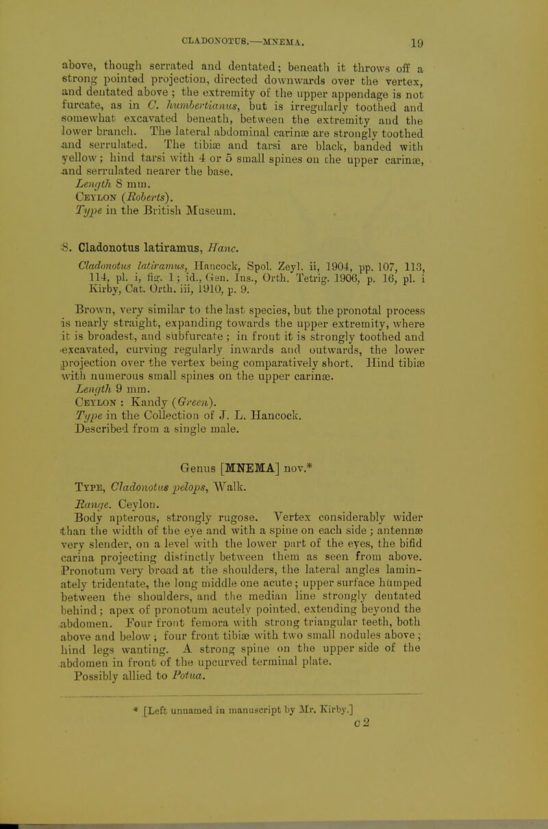 above, though serrated and dentated; beiieatli it throws off a strong pointed projection, directed downwards over the vertex, and dentated above ; the extremity of the upper appendage is not furcate, as in C. humhertianus, but is irregidarly toothed and somewhat excavated beneath, between the extremity and the •lower brancli. The lateral abdominal carinas are strongly toothed iind serrulated. The tibite and tarsi are black, banded with yellow; hind tarsi with 4 or 5 small spines on che upper carina3, jind serrulated nearer the base. Length 8 mm. Ceylon (Roberts). Type in the British Museum. 8. Cladonotus latiramus, Ham. Cladonotus latiramus, Hancock, Spol. Zeyl. ii, 1904, pp. 107, 113, 114, pi. i, fis?. 1; id., Gen. Ins., Orth. Tetrig. 1906, p. 16, pi. i Kirby, Cat. Orth. iii, 1910, p. 9. Brown, very similar to the last species, but the pronotal process is nearly straight, expanding towards the upper extremity, where it is broadest, and subfurcate ; in frout it is strongly toothed and ■excavated, curving regularly inwards and outwards, the lower [projection over the vertex being comparatively short. Hind tibiae with numerous small spines on the upper carinae. Length 9 mm. Ceylon : Knndy (Green). Type in the Collection of J. L. Hancock. Described from a single male. Genus [MNEMA] nov.* Type, Cladonotus pelops, Walk. Range. Ceylon. Body apterous, strongly rugose. Vertex considerably wider than the width of the eye and with a spine on each side ; antennae very slender, on a level with the lower part of the eyes, the bifid carina projecting distinctly between them as seen from above. Pronotum very broad at the shoulders, the lateral angles lamin- ately tridentate, the long middle one acute; upper surface humped between the shoulders, and the median line strongly dentated behind; apex of pronotum acutely pointed, exteuding beyond the abdomen. Four front femora with strong triangular teeth, both above and below; four front tibiaj with two small nodules above; hind legs wanting. A strong spine on the upper side of the abdomen in front of the upcurved terminal plate. Possibly allied to Potua. * [Left unnamed in manuscript by Mr. Kirby.] o2