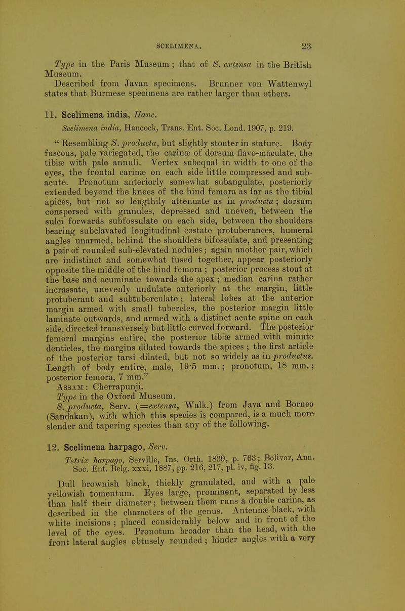 Type in the Paris Museum ; that of S. exUnsa iu the British Museum. Descrihed from Javan specimens. Brunner von Wattenwyl states tliat Burmese specimens are rather larger than others. 11. Scelimena india, Banc. Scelimena india, Hancock, Trans. Ent. See. Lend. 1907, p. 219.  B-esembling S. 2>roducta, but slightly stouter in stature. Body fuscous, pale variegated, the carince of dorsvim flavo-maculate, the tibire with pale annuli. Vertex subequal in width to one of the eyes, the frontal carinse on each side little compressed and sub- acute. Pronotum anteriorly somewhat subangulate, posteriorly extended beyond the knees of the hind femora as far as the tibial apices, but not so lengthily attenuate as in producta ; dorsum conspersed with granules, depressed and uneven, between the sulci forwards subfossulate on each side, between the shoulders bearing subclavated longitudinal costate protuberances, humeral angles unarmed, behind the shoulders bifossulate, and presenting a pair of rounded sub-elevated nodules; again another pair, which are indistinct and somewhat fused together, appear posteriorly opposite the middle of the hind femora ; posterior process stout at the base and acuminate towards the apex ; median carina rather incrassate, unevenly undulate anteriorly at the margin, little protuberant and subtuberculate; lateral lobes at the anterior margin armed with small tubercles, the posterior margin little laminate outwards, and armed with a distinct acute spine on each side, directed transversely but little curved forward. The posterior femoral margins entire, the posterior tibiae armed with minute denticles, the margins dilated towards the apices ; the first article of the posterior tarsi dilated, but not so widely as in productus. Length of body entire, male, 19*5 mm.; pronotum, 18 mm.; posterior femora, 7 mm. Assam: Cherrapunji. Typ>e in the Oxford Museum. S. producta, Serv. {—extensa, AValk.) from Java and Borneo (Sandakan), with which this species is compared, is a much more slender and tapering species than any of the following. 12. Scelimena harpago. Sew. Tetrix harpago, Serville, Ins. Orth. 1839, p. 763; Bolivar, Ann. See. Ent. Belg. xxxi, 1887, pp. 216, 217, pi. iv, fig. 13. Dull brownish black, thickly granulated, and with a pale yellowish tomentum. Eyes large, prominent, separated by less than half their diameter; between them runs a double canna, as described in the characters of the genus. Antenna? black, with white incisions ; placed considerably below and ni front of the level of the eyes. Pronotum broader than the head, with the front lateral angles obtusely rounded ; hinder angles with n very