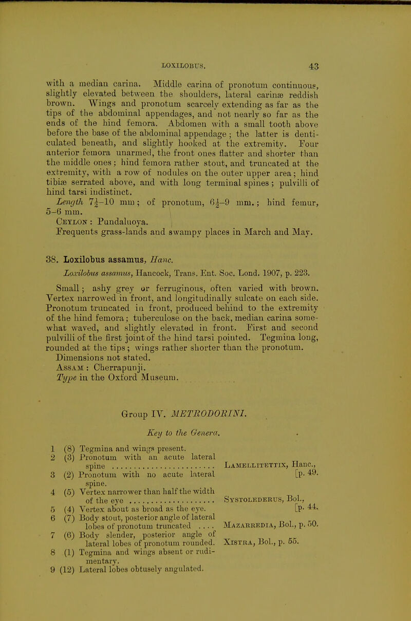 with a median carina. Middle carina of pronotum continuous, sliglitly elevated between the shoulders, lateral carinsB reddish brown. Wings and pronotum scarcely extending as far as the tips of the abdominal appendages, and  not nearly so far as the ends of the hind femora. Abdomen with a small tooth above before the base of the abdominal appendage ; the latter is denti- culated beneath, and slightly hooked at the extremity. Pour anterior femora unarmed, the frout ones flatter and shorter than the middle ones ; hind femora rather stout, and truncated at the extremity, with a row of nodules on the outer upper area; hind tibisB serrated above, and with long terminal spines; pulvilli of hind tarsi indistinct. Length 7|-10 mm; of pronotum, 6|-9 mm.; hind femur, 5-6 mm. , Ceylon : Pundaluoya. Prequents grass-lands and swampy places in March and May. 38. Loxilobus assamus, Hanc. Loxilobtts assamus, Hancock, Trans. Ent. Soc. Lend. 1907, p. 223. Small; ashy grey or ferruginous, often varied with brown. Vertex narrowed in front, and longitudinally sulcate on each side. Pronotum truncated in front, produced behind to the extremity of the hind femora; tuberculosa on the back, median carina some- what waved, and slightly elevated in front. First and second pulvilli of the first joint of the hind tarsi pointed. Tegmina long, rounded at the tips ; wings rather shorter than the pronotum. Dimensions not stated. Assam : Cherrapunji. in the Oxford Museum. Group IV. METRODOBim. Key to the Gmera. 1 (8) Tegmina and winga present. 2 (3) Pronotum with an acute lateral spine Lamellitettix, Hanc, 3 (2) Pronotum with no acute lateral [p- 49. spine. 4 (5) Vertex narrower than half the width of the eye Systoledbhus, Bol., 5 (4) Vertex about as broad as the eye. [p- 44. 6 (7) Body stout, posterior angle of lateral lobes of pronotum truncated Mazarhedia, Bol., p. oO. 7 (6) Body slender, posterior angle of lateral lobes of pronotum rounded. Xistra, Bol., p. oo. 8 (1) Tegmina and wings absent or rudi- mentary. 9 (12) Lateral lobes obtusely angulated.