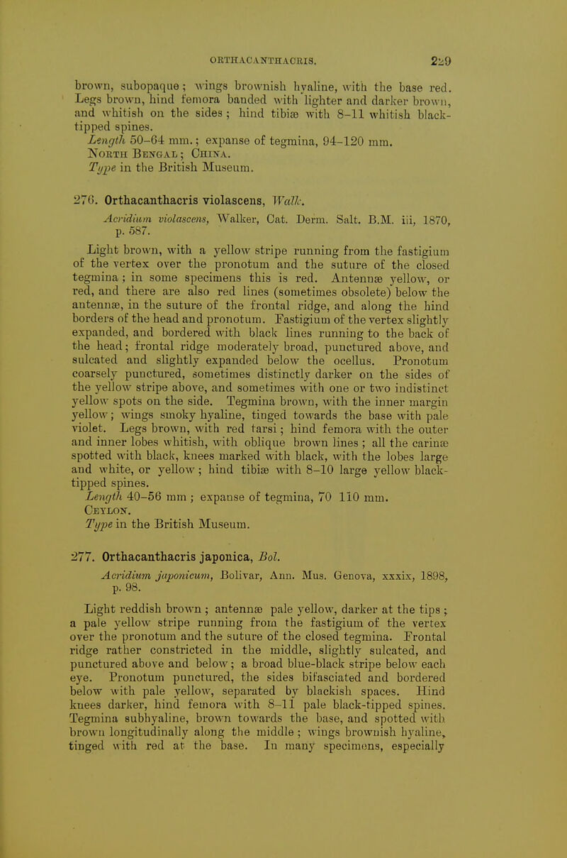 brown, siibopaqiie; wings brownish hyaline, with the base red. Legs brown, hind femora banded with lighter and darker brown, and whitish on the sides ; hind tibiae with 8-11 whitish black- tipped spines. Length 50-64 mm,; expanse of tegmina, 94-120 mm. North Bengal ; China. Type in the British Museum. 276. Orthacanthacris violascens, WaVc Acridium violascens, Walker, Cat. Derm. Salt. B.M. iii, 1870 p. 587. Light brown, with a yellow stripe running from the fastigium of the vertex over the pronotum and the suture of the closed tegmina; in some specimens this is red. Antennae yellow, or red, and there are also red lines (sometimes obsolete) below the antennae, in the suture of the frontal ridge, and along the hind borders of the head and pronotum. Fastigium of the vertex slightly expanded, and bordered with black lines running to the back of the head; frontal ridge moderately broad, punctured above, and sulcated and slightly expanded below the ocellus. Pronotum coarsely punctured, sometimes distinctly darker on the sides of the yellow stripe above, and sometimes with one or two indistinct yellow spots on the side. Tegmina brown, with the inner margin yellow; wings smoky hyaline, tinged towards the base with pale violet. Legs brown, with red tarsi; hind femora with the outer and inner lobes whitish, with obhque brown lines ; all the carinas spotted with black, knees marked with black, with the lobes large and white, or yellow; hind tibiae with 8-10 large yellow black- tipped spines. Length 40-56 mm ; expanse of tegmina, 70 110 mm. Ceylon. Type in the British Museum. :277. Orthacanthacris japonica, Bol. Acndium japonicum, Bolivar, Ann. Mus. Geneva, xxxix, 1898, p. 98. Light reddish brown ; antennae pale yellow, darker at the tips ; a pale yellow stripe running from the fastigium of the vertex over the pronotum and the suture of the closed tegmina. Frontal ridge rather constricted in the middle, slightly sulcated, and punctured above and below; a broad blue-black stripe below each eye. Pronotum punctured, the sides bifasciated and bordered below with pale yellow, separated by blackish spaces. Hind knees darker, hind femora with 8-11 pale black-tipped spines. Tegmina subhyaline, brown towards the base, and spotted with brown longitudinally along the middle ; wings brownish hyaline, tinged with red at the base. In many specimens, especially