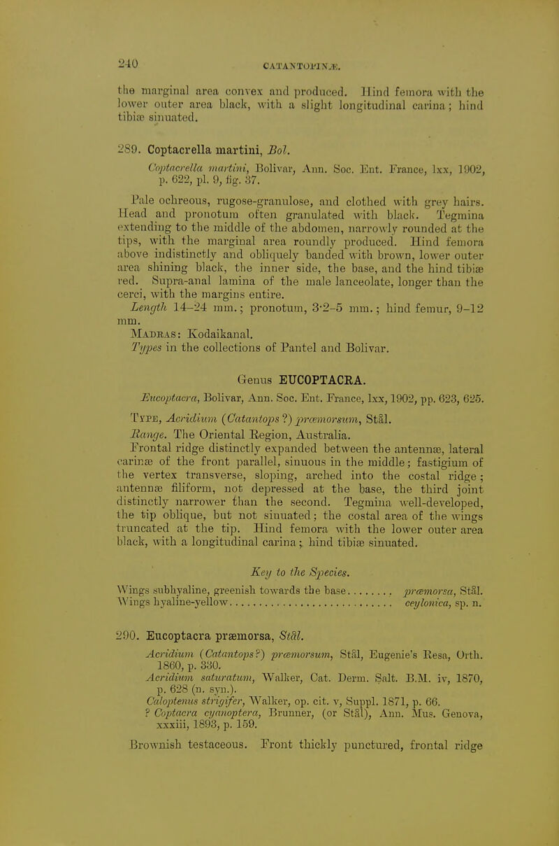 CATANTOl'IN^. the marginal area convex and produced. Hind femora with the lower outer area black, with a slight longitudinal carina; hind tibia? sinuated. 289. Coptacrella martini, Bol. Coptacrella martini, Bolivar. Ann. Soc. Ent. France, Ixx, 1902, p. 622, pi. 9, fig. 37. Pale ochreous, rugose-granulose, and clothed with grey hairs. Head and pronotura often granulated with black. Tegmina extending to the middle of the abdomen, narrowly rounded at the tips, with the marginal area roundly produced. Hind femora above indistinctly and obliquely banded with brown, lower outer area shining black, the inner side, the base, and the hind tibias red. Supra-anal lamina of the male lanceolate, longer than the cerci, with the margins entire. Length 14-24 mm.; pronotum, 3-2-5 mm.; hind femur, 9-12 mm. Madras: Kodaikanal, Types in the collections of Pantel and Bolivar. Eucoptacra, Bolivar, Ann. Soc. Ent. France, Ixx, 1902, pp. 623, 625. 'Pype, Acridium {Gatantops 'i) prcumorsum^ Stal. Range. The Oriental Eegion, Australia. Prontal ridge distinctly expanded between the antennae, lateral carinse of the front ]3arallel, sinuous in the middle; fastigium of the vertex transverse, sloping, arched into the costal ridge; antennte filiform, not depressed at the base, the third joint distinctly narrower than the second. Tegmina ^^ell-developed, the tip oblique, but not sinuated; the costal area of the wings truncated at the tip. Hind femora with the lower outer area black, with a longitudinal carina;. hind tibiae sinuated. 290. Eucoptacra praemorsa, Stal. Acridium (Catantops?) prcetnorsum, St?d, Eugenie's Resa, Orth. 1860, p. 330. Acridium saturatum, Walker, Cat. Derm. Salt. B.M. iv, 1870, p. 628 (n. syn.). Ccdoptemis strigifer, Walker, op. cit. v, Suppl. 1871, p. 66. ? Coptaera cynnoptera, Bruuner, (or StSl), Ann. Mus. Geneva, xxxiii, 1893, p. 159. Brownish testaceous. Pront thickly punctured, frontal ridge Genus EUCOPTACRA. Key to the Sjpecies. Wings Bubhyaline, greenish toAvards the base. AVings hyaline-yellow prcBinorsa, StSl. ceylonica, sp. n.