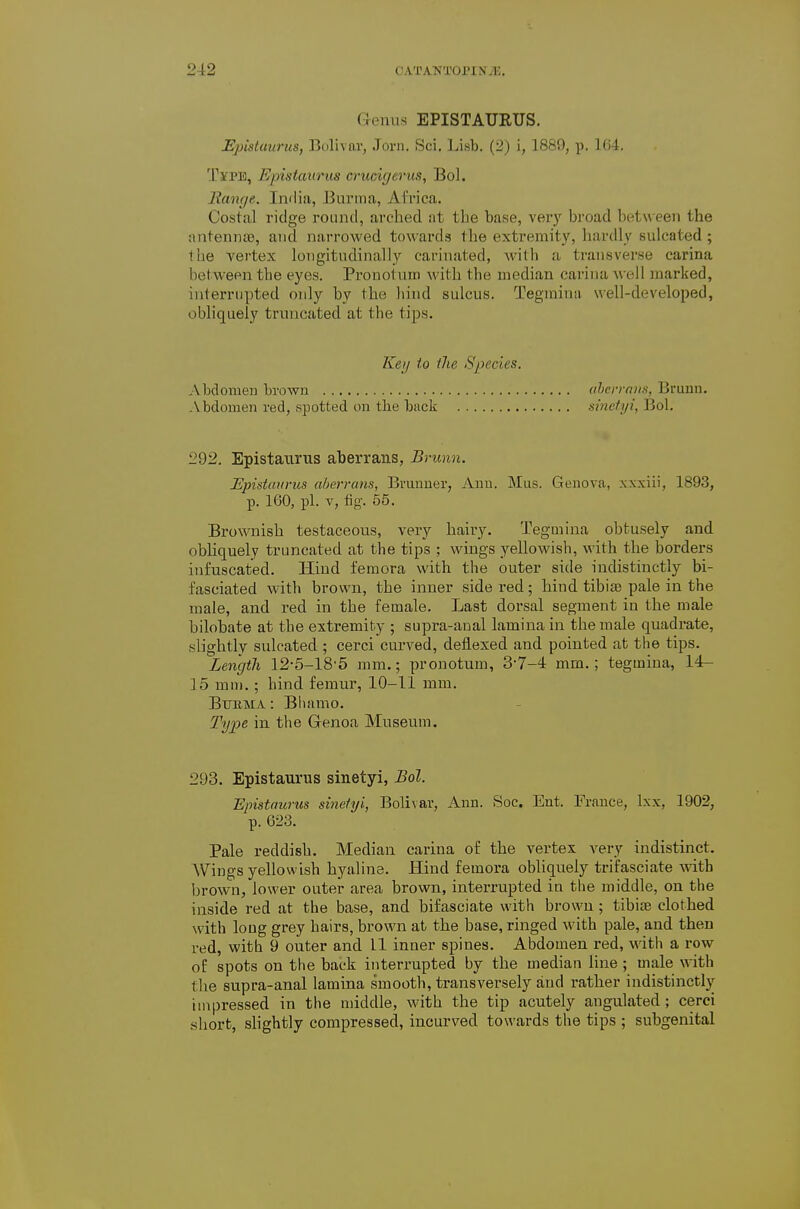 Genus EPISTAUEUS. Epistaurus, Bulivar, Jorn. Sci. Lisb. {2) i, 1889, p. 1()4. Type, Epistaurus crucigerus, Bol. liange. India, Burma, Ai'rica. Costal ridge round, arched at the base, verj- broad bet\\-een the antennas, and narrowed towards the extremit}', hardly sulcated ; the vertex longitudinally carinated, with a transverse carina between the eyes. Pronotum with the median carina well marked, interrupted oidy by the hind sulcus. Tegmina well-developed, obliquely truncated at the tips. Keij to the Species. Abdomen brown ahcrrnus, Brunu. Abdomen red, spotted on the back sinetyi, Bol. 292. Epistaurus aberrans, Brunn. Epiddurus aberrans, Brunner, Ann. Miis. Geneva, xxxiii, 1893, p. 160, pi. V, tig. 55. Brownish testaceous, very hairy. Tegmina obtusely and obliquely truncated at the tips ; wings yellowish, with the borders infuscated. Hind femora with the outer side indistinctly bi- fasciated with brown, the inner side red; hind tibiae pale in the male, and red in the female. Last dorsal segment in the male bilobate at the extremity ; supra-anal lamina in the male quadrate, slightly sulcated ; cerci curved, detlexed and pointed at the tips. Length 12-5-18'5 jnm.; pronotum, 3-7-4 mm.; tegmina, 14- 15 mm. ; hind femur, 10-11 mm. Btjbma : Bhamo. Type in the G-enoa Museum. 293. Epistaurus sinetyi, Bol. Epistaurus sinetyi, Bolivar, Ann. Soc. Ent. France, Ixx, 1902, p. 623. Pale reddish. Median carina of the vertex very indistinct. AVings yellowish hyaline. Hind femora obliquely trifasciate with brown, lower outer area brown, interrupted iu the middle, on the inside red at the base, and bifasciate with brown ; tibiae clothed with long grey hairs, brown at the base, ringed with pale, and then red, with 9 outer and 11 inner spines. Abdomen red, witii a row oE spots on the back interrupted by the median line ; male with the supra-anal lamina smooth, transversely and rather indistinctly impressed in the middle, with the tip acutely angulated; cerci .short, shghtly compressed, incurved towards the tips ; subgenital