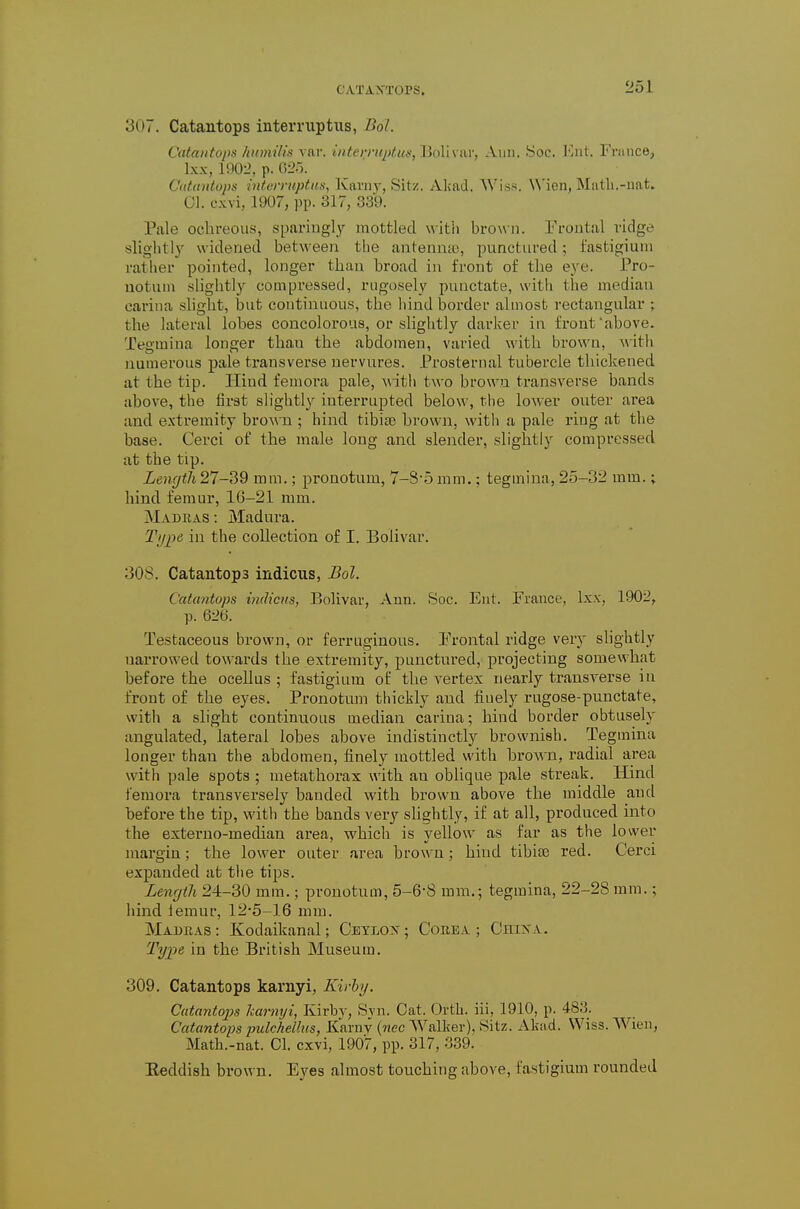 307. Catantops interruptus, B61. Catantops hnmilia var. interruptus, Bolivar, Ann. Soc. Ent. France, Ixx, mO-l, p. 0^.). Cutantops interruptus, Karny, Sitz. Akad. AViss. Wien, Matli.-nat. 01. cxvi, 1907, pp. 317, 339. Pale oclireous, sparingly mottled Mitli brown. I'roiital ridge slightly widened between the antennio, punctured; fastigium rather pointed, longer than broad in front of the eye. Pro- uotnni slightly compressed, riigosely punctate, with the median carina shght, but continuous, the hind border almost rectangular ; the lateral lobes concolorous, or slightly darker in front above. Tegmina longer than the abdomen, varied with brown, with numerous pale transverse nervures. Prosternal tubercle thickened at the tip. Hind femora pale, with two brown transverse bands above, the first slightly interrupted below, the lower outer area and extremity bro\\Ti; hind tibite brown, witli a pale ring at the base. Cerei of the male long and slender, slightly compressed at the tip. Len(/th27-39 mm.; pronotum, 7-8-5 mm.; tegmina, 25-32 mm.; hind femur, 16-21 mm. Madras : Madura. Ti/jye in the collection of I. Bolivar. 308. Catantops indicus, Bol. Catantops i)i(licus, Bolivar, Ann. Soc. Ent. France, Ixx, 1902, p. 626. Testaceous brown, or ferruginous. Prontal ridge very slightly uarrow-ed towards the extremity, punctured, projecting somewdiat before the ocellus ; fastigium of the vertex nearly transA^erse in front of the eyes. Pronotum thickly and finely rugose-punctate, with a slight continuous median carina; hind border obtusely angulated, lateral lobes above indistinctly brownish. Tegmina longer than the abdomen, finely mottled with brow n, radial area with pale spots ; metathorax with an oblique pale streak. Hind femora transversely banded with brown above the middle and before the tip, with the bands very slightly, if at all, produced into the externo-median area, which is yellow as far as the lower margin; the lower outer area brown; hind tibiae red. Cerci expanded at the tips. Length 24-30 mm.; pronotum, 5-6-8 mm.; tegmina, 22-28 mm.; hind lemur, 12-5-16 mm. Madras: Kodaikanal; CEyLOX; Core A ; Ohixa. Type in the British Museum. 309. Catantops karnyi, Kirhy. Catantops karnyi, Kirby, Svn. Cat. Orth. iii, 1910, p. 483. Catantops pulchellus, Karny {nec Walker), Sitz. Akad. Wiss. Wien, Math.-nat. CI. cxvi, 1907, pp. 317, 339. Eeddish brown. Ej^es almost touching above, fastigium rounded