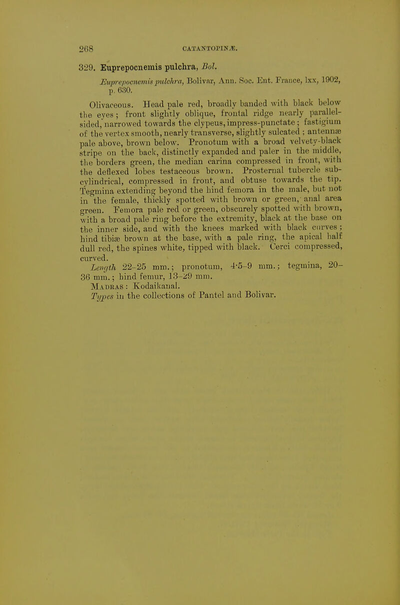 329, Euprepocneniis pulchra, Bol. Euprepocnemis pulchra, Bolivar, Ann. Soc. Ent. France, Ixx, 1902, p. 630. Olivaceous. Head pale red, broadly bauded with black below tlie eyes ; front slightly oblique, frontal ridge nearly i)arallel- sided, narrowed towards the clypeus, impress-punctate; fastigium of the vertex smooth, nearly transverse, slightly sulcated ; antennae pale above, brown below. Prouotum with a broad velvety-black stripe on the back, distinctly expanded and paler in the middle, the borders green, the median carina compressed in front, with the deflexed lobes testaceous brown. Prosternal tubercle sub- cylindrical, compressed in front, and obtuse towards the tip. Tegmina extending beyond the hind femora in the male, but not in the female, thickly spotted with brown or green,-anal area green. Temora pale red or green, obscurely spotted with brown, with a broad pale ring before the extremity, black at the base on the inner side, and with the knees marked with black curves ; hind tibiae brown at the base, with a pale ring, the apical half dull red, the spines white, tipped with black. Cerci compressed, curved. Lemjtli 22-25 mm.; pronotum, 4-5-9 mm.; tegmina, 20- 36 mm.; hind femur, 13-^:9 mm. Habeas : Kodaikanal.