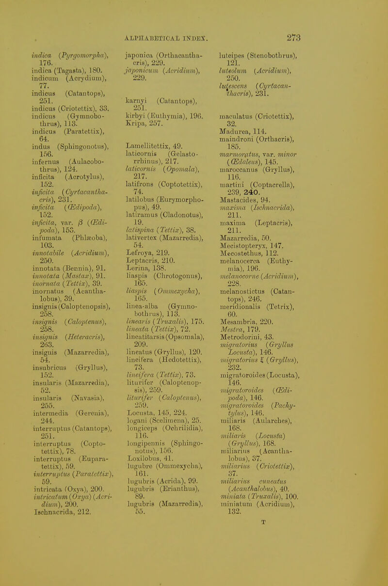 indica {Pyrgomor-pha), 176. indina (Tagasta), 180. indiciiiu (Acrydium), 77. indicus (Oatantops), 251. indicus (Criotettix), 33. indicus (Gjmnobo- thrua), 113. indicus (Paratettix), 64. indus (Sphingonotus), 156. infernus (Aulacobo- thrus), 124. inficita (Acrotylus), 152. inficita (Cyrtacantha- cris), 231. ivficita ( (Edipoda), 152. inficita, var. /3 {(Edi- poda), 153. infumata (Phljeoba), 103. innotahile (Acridium), 250. innotata (Bennia), 91. innotata {Masta.r), 91. inornata (Tettix), 39. inoniatus (Acantha- lobus), 39. insignis (Caloptenopsis), 258. insignis (Calopfenus), 258. insignis {Heteracris), 263. insiguis (Mazarredia), 54. insubricus (Grryllus), 152. insularis (Mazarredia), 52. insularis (Navasia), 255. intermedia (Gerenia), 244. interruptus (Catantops), 251. interruptus (Copto- tettix), 78. interruptus (Eupara- tettix), 59. interruptus {Paratettix), 59. intricata (Oxya), 200. intricatum{Oxya) {Acri- dium), 200. Ischnacrida, 212. ALPHABETIOAt, INDE:S. japonica (Orthacautha- cris), 229. Japonictiin {Acridiiom), 229. karnyi (Catantops), 251. kirbyi (Euthymia), 196. Ivripa, 257. Lamellitettix, 49. laticornis (Gelasto- rrbinus), 217. laticornis {Opomala), 217. latifrons (Coptotettix), 74. latilobus (Eurj'morpho- pus), 49. latiramus (Oladonotus), 19. laiispina {Tettix), 38. lativertex (Mazarredia), 54. Lefroya, 219. Leptacris, 210. Lerina, 138. liasjDis (Chrotogonus), 165. liaspis {Ommexycha), 165. linea-alba (Gymno- botbrus), 113. linearis {Truxalis), 175. lineata {Tettix), 72. lineatitarsis (Opsomala), 209. lineatus (Gryllus), 120. linei fera (Hedotettix), 73. lineifera {Tettix), 73. liturifer (Caloptenop- sis),^ 259. liturifer {Caloptcnus), 2.59. Loonsta, 145, 224. logani (8celimena), 25. lougiceps (Ocbrilidia), 116. lougipeniiis (Spbingo- notus), 156. Loxilobus, 41. lugubre (Onimexycha), 161. liigubris (Aerida), 99. lugubris (Eriantbus), 89. lugubris (Mazarredia), 55. 273 luteipes (Stenobotbrus), 121. luteolum {Acridium), 250. lut^escens {Cyrtacan- thacris), 231. maculatus (Criotettix), 32. Madurea, 114. maindroni (Ortbacris), 185. marmnr(itus, var. minor {(Edaleus), 145. maroccanus (Gryllus), 116. martini (Coptacrella), 239, 240. Mastacides, 94. maxima {Ischnacrida), 211. maxima (Leptacris), 211. Mazarredia, 50. Mecistopteryx, 147. Mecostetbus, 112. melanocerca (Eutby- luia), 196. melanocorne {Acriditim), 228. melanostictus (Catan- tops), 246. meridionalis (Tetrix), 60. Mesambria, 220. Mestra, 179. Metrodoriui, 43. migratorius {Gryllus Locusta), 146. migratorius K {Gryllus), 232. migratoroides (Locusta), 146. migratoroidcs (QSdi- X>oda), 146. migratoroidcs {Pachy- tylus), 146. miliaria (Aidarebes), 168. miliaris {Locusta) {Gryllus), 168. iiiiliarius (Acantba- lobus), 37. miliarius {Criotettix), 37. miliarius cun cat us {Acanthalohus), 40. miniata (Truxalis), 100. uiiniatuni (Acridium), 132. T