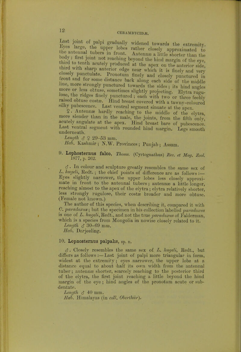 1 OBRAMDYCID^. Last joint of palpi graclually widened towards the extremity. Lye arge the upper lobes rather closely approxi.uated to hodv fi'; '^V ^'r^- , ^''''''•^ «''0^ter than the S ^ -H I '^^'^ --^P^^ the anterior side thud with sharp anterior edge near which it is finely and very closely punctulate. Pronotum finely and closely punctured in trout and tor some distance back along each side of the middle line, more strongly punctured towards the sides; its hind angles more or less obtuse sometimes slightly projecting. Elytra rugu- lose the ridges finely punctured; each with two or three feebly raised obtuse costae. Hind breast covered with a tawny-coloured silky pubescence. Last ventral segment sinuate at the apex $. Antennae hardly reaching to the middle of the elytra more slender than in the male, the joints, from the fifth only' acutely angulate at the apex. Hind breast bare of pubescence; Last ventral segment with rounded hind margin. Legs smooth underneath. Length S $ 29-53 mm. ifab. Kashmir ; N.W. Provinces ; Punjab ; Assam. 9. Lophosternus falco, Thorns. (Cyrtognathus) Hev. et Mag, Zool. 1877, p. 262, d. In colour and sculpture greatly resembles the same sex of L. hvgeli, Redt. ; the chief points of difference are as follows :— Eyes slightly narrower, the upper lobes less closely approxi- mate in front to the anteunal tubers; antennae a little longer, reaching almost to the apex of the elytra; elytra relatively shorter, less strongly rugulose, their costae broader and more obtuse. (Female not known.) The author of this species, when describing it, compared it with 0. paradoxus; but the specimen in his collection labelled paradoxus is one of L. hugeli,'Redt., and not the tvne jmradoxus of Falderman, which is a species from Mongolia in nowise closely related to it. Length ^ 30-69 mm. Hab. D£\rjeeling. 10. Lopnosternus palpalis, sp. n. d'. Closely resembles the same sex of L. hugeli, Eedt., but differs as follows :—Last joint of palpi more triangular in form, widest at the extremity; eyes narrower, the upper lobe at a distance equal to about -half its own width from the antennal tuber; antennae shorter, scarcely reaching to the posterior third of the elytra, the first joint reaching a little beyond the hind margin of the eye ; hind angles of the pronotum acute or sub- dentate. Length S 40 mm. Hah. Himalayas (in coll. ObertJiiir).