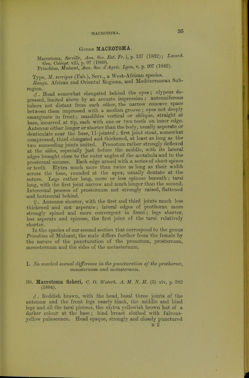 Genus MACROTOMA. Macrotoma, Serville, Ann. Soc. Ent. Fr. i, p. 137 (1882) ; Lacord. Gen. Coleopt. viii, p. 97 (1869) Prinobius, Mulsant, Ann. Soc. d'Ar/nc. Lyon, v, p. 207 {LMZ). Type, i¥. serripes (Eab.), Serv., a West-African species. Banr/e. African and Oriental Eegions, and Mediterranean bab- region. c?. Head somewhat elongated behind the eyes ; clypeus de- pressed, Hmited above by an arcuate impression ; antenniferous tubers not distant from each other, the narrow concave space between them impressed with a median groove ; eyes not deeply emarginate in front; mandibles vertical or oblique, straight at base, incurved at tip, each with one or two teeth on inner edge. Antenna either longer or shorter than the body, usually asperate or denticulate near the base, 11-jointed ; first joiut stout, somewhat compressed, third elongated and thickened, at least as long as the two succeeding joints united. Pronotum rather strongly deflexed at the sides, especially just before the middle, with its lateral edges brought close to the outer angles of the acetabula and to the prosternal sumres. Each edge armed with a series of short spines or teeth. Elytra much more than twice as long as their M-idth across the base, rounded at the apex, usually dentate at the suture. Legs rather long, more or less spinose beneath ; tarsi long, with the first joint narrow and much longer than the second. Intercoxal process of presternum not strongly raised, flattened -and horizontal behind. $ . Antennae shorter, with the first and third joints much less thickened and not asperate; lateral edges oE prothorax more strongly spined and more convergent in front; legs shorter, less asperate and spinose, the first joint of the tarsi relatively shorter. In the species of our second section that correspond to the genus Prinohius of Mulsant, the male differs further from the female by the nature of the puncturation of the pronotum, prosternum, mesosternum and the sides of the metasternum. I. No marked sexual difference in the puncturation of the prothorax, mesosternum andj metasternum. 30. Macrotoma fisheri, C. 0. Waterh. A. M. N. S. (5) xiv, p. 382 (1884). (5. Eeddish brown, with the head, basal three joints ot the antennae and the front legs nearly black, the middle and hind legs and all the tarsi piceous, the elytra yellowish brown but of a darker colour at th(! base; hind breast clothed with fulvous- yellow pubescence. Head opaque, strongly and closely punctured n 2