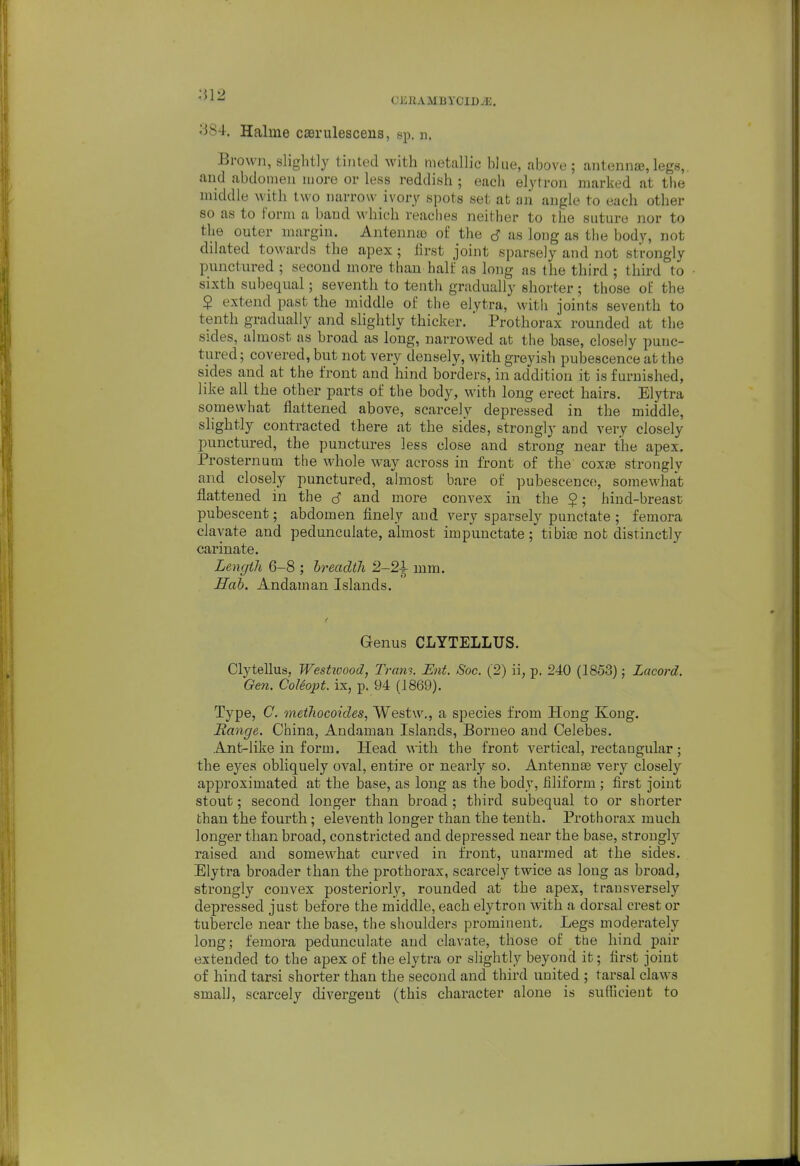 ••512 CKEAMBYOIDwE. ^84. Halme cserulescens, sp. n. Brown, slightly tinted with metallic hlue, above ; antennae, legs, and abdomen more or less reddish ; each elytron marked at the nnddle with two narrow ivory spots set at aii angle to each other so as to form a baud which readies neither to the suture nor to the outer margin. Antenna) of the as long as the body, not dilated to\\-ards the apex ; lirst joint sparsely and not strongly punctured ; second more than hall' as long as the third ; third to sixth subequal; seventh to tenth gradually shorter ; those of the $ extend past the middle of the elytra, with joints seventh to tenth gradually and slightly thicker. ' Prothorax rounded at the sides, almost as broad as long, narrowed at the base, closely punc- tured ; covered, but not very densely, with greyish pubescence at the sides and at the front and hind borders, in addition it is furnished, like all the other parts of the body, with long erect hairs. Elytra somewhat flattened above, scarcely depressed in the middle, slightly contracted there at the sides, strongly and very closely lumctured, the punctures less close and strong near ihe apex. ProsternuQi the whole way across in front of the coxfe strongly and closely punctured, almost bare of pubescence, somewhat flattened in the S and more convex in the $; hind-breast pubescent; abdomen finely and very sparsely punctate ; femora clavate and pedunculate, almost impunctate; tibiae not distinctly carina te. Length 6-8 ; hreadiJi 2-2i mm. Hub. Andaman Islands. f Genus CLYTELLUS. Clytellus, Westicood, Tram. Ent. Soc. (2) ii, p. 240 (1853); Lacord. Gen. CoUopt. ix, p. 94 (1869). Type, C metliocoides, Westw., a species from Hong Kong. Range. China, Andaman Islands, Borueo and Celebes. Ant-like in form. Head with the front vertical, rectangidar; the eyes obliquely oval, entire or nearly so. Antennae very closely approximated at the base, as long as the body, filiform ; first joint stout; second longer than broad ; third subequal to or shorter than the fourth; eleventh longer than the tenth. Prothorax much longer than broad, constricted and depressed near the base, strongly raised and somewhat curved in front, unarmed at the sides. Elytra broader than the prothorax, scarcely twice as long as broad, strongly convex posteriorly, rounded at the apex, transversely depressed just before the middle, each elytron with a dorsal crest or tubercle near the base, the shoulders prominent. Legs moderately long; femora pedunculate and clavate, those of the hind pair extended to the apex of the elytra or slightly beyond it; first joint of hind tarsi shorter than the second and third united ; tarsal claws small, scarcely divergent (this character alone is sufficient to