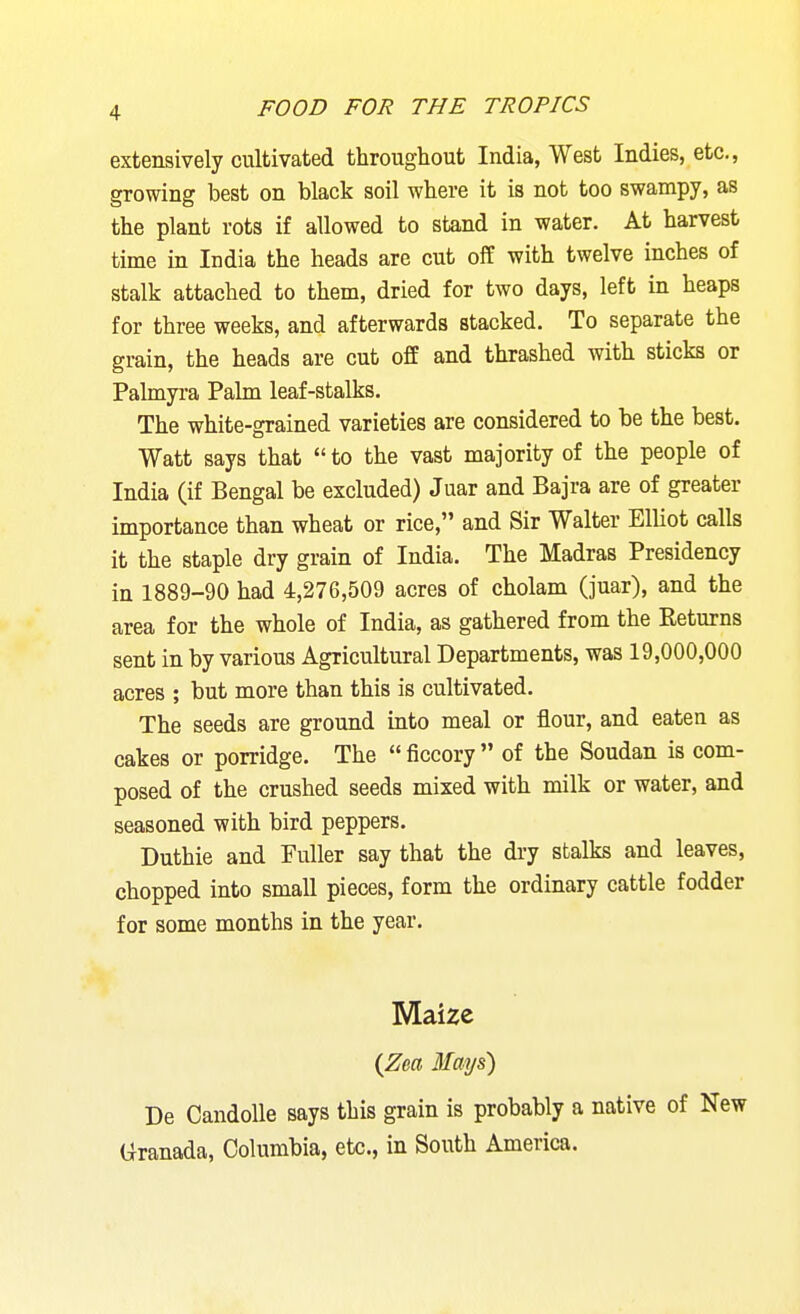 extensively cultivated throughout India, West Indies, etc., growing best on black soil where it is not too swampy, as the plant rots if allowed to stand in water. At harvest time in India the heads are cut off with twelve inches of stalk attached to them, dried for two days, left in heaps for three weeks, and afterwards stacked. To separate the grain, the heads are cut off and thrashed with sticks or Palmyra Palm leaf-stalks. The white-grained varieties are considered to be the best. Watt says that to the vast majority of the people of India (if Bengal be excluded) Juar and Bajra are of greater importance than wheat or rice, and Sir Walter Elliot calls it the staple dry grain of India. The Madras Presidency in 1889-90 had 4,276,509 acres of cholam (juar), and the area for the whole of India, as gathered from the Returns sent in by various Agricultural Departments, was 19,000,000 acres ; but more than this is cultivated. The seeds are ground into meal or flour, and eaten as cakes or porridge. The ficcory of the Soudan is com- posed of the crushed seeds mixed with milk or water, and seasoned with bird peppers. Duthie and Fuller say that the di-y stalks and leaves, chopped into small pieces, form the ordinary cattle fodder for some months in the year. Maize {Zm 3Iays) De Candolle says this grain is probably a native of New Granada, Columbia, etc., in South America.