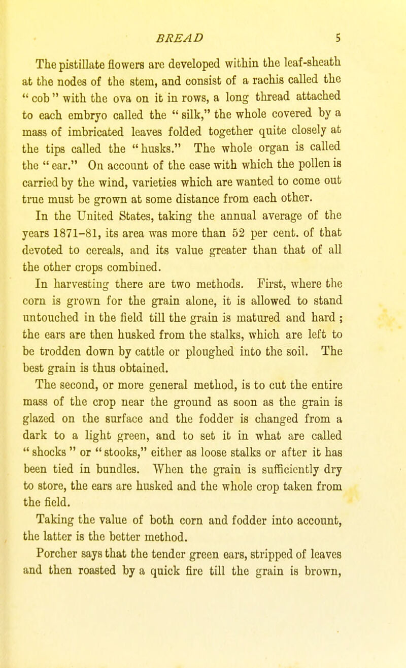 The pistillate flowers are developed within the leaf-sheath at the nodes of the stem, and consist of a rachis called the cob with the ova on it in rows, a long thread attached to each embryo called the silk, the whole covered by a mass of imbricated leaves folded together quite closely at the tips called the husks. The whole organ is called the ear. On account of the ease with which the pollen is carried by the wind, varieties which are wanted to come out true must be grown at some distance from each other. In the United States, taking the annual average of the years 1871-81, its area was more than 52 per cent, of that devoted to cereals, and its value greater than that of all the other crops combined. In harvesting there are two methods. First, where the corn is grown for the grain alone, it is allowed to stand untouched in the field till the grain is matured and hard ; the ears are then husked from the stalks, which are left to be trodden down by cattle or ploughed into the soil. The best grain is thus obtained. The second, or more general method, is to cut the entire mass of the crop near the ground as soon as the grain is glazed on the surface and the fodder is changed from a dark to a light green, and to set it in what are called shocks or stooks, either as loose stalks or after it has been tied in bundles. When the grain is sufficiently dry to store, the ears are husked and the whole crop taken from the field. Taking the value of both corn and fodder into account, the latter is the better method. Porcher says that the tender green ears, stripped of leaves and then roasted by a quick fire till the grain is brown.