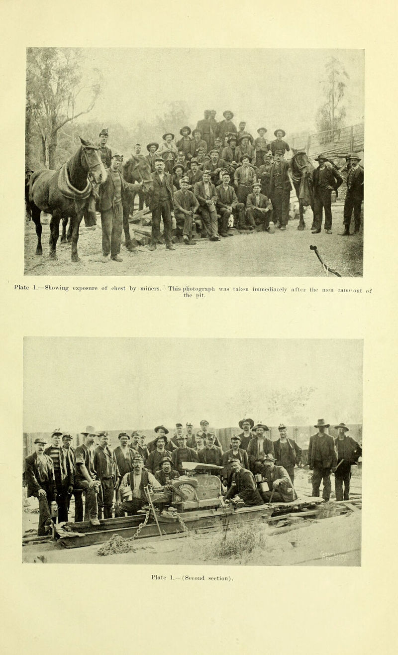 Plate 1.—Showing exposure of chest by miners. This photograph was the pit. taken immediately after the men came out of Plate 1.— (Second section)