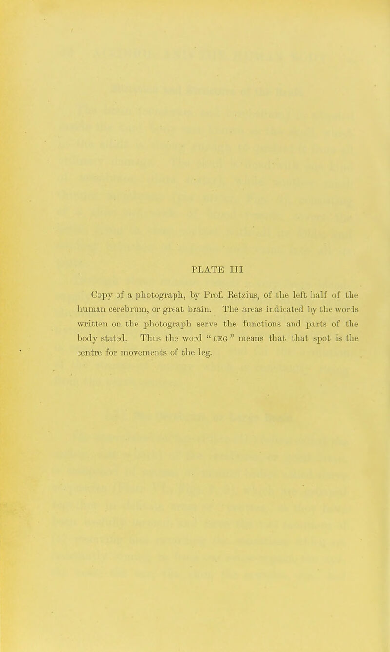 PLATE III Copy of a photograph, by Prof. Retzius, of the left half of the human cerebrum, or great brain. The areas indicated by the words written on the photograph serve the functions and parts of the body stated. Thus the word leg means that that spot is the centre for movements of the leg.