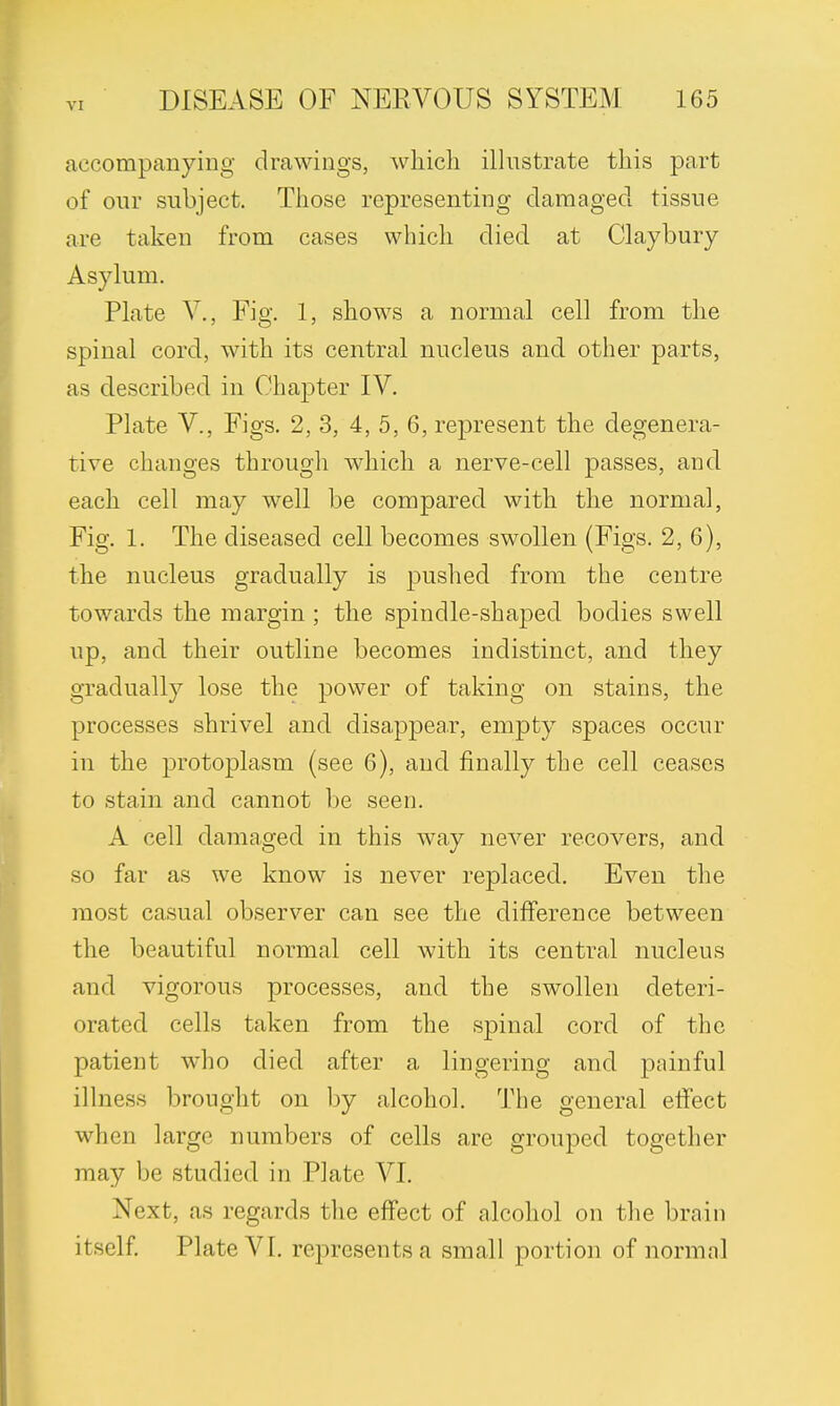 accompanying drawings, which illustrate this part of our subject. Those representing damaged tissue are taken from cases which died at Claybury Asylum. Plate V., Fig. 1, shows a normal cell from the spinal cord, with its central nucleus and other parts, as described in Chapter IV. Plate V., Figs. 2, 3, 4, 5, 6, represent the degenera- tive changes through which a nerve-cell passes, and each cell may well be compared with the normal, Fig. 1. The diseased cell becomes swollen (Figs. 2, 6), the nucleus gradually is pushed from the centre towards the margin ; the spindle-shaped bodies swell up, and their outline becomes indistinct, and they gradually lose the power of taking on stains, the processes shrivel and disappear, empty spaces occur in the protoplasm (see 6), and finally the cell ceases to stain and cannot be seen. A cell damaged in this way never recovers, and so far as we know is never replaced. Even the most casual observer can see the difference between the beautiful normal cell with its central nucleus and vigorous processes, and the swollen deteri- orated cells taken from the spinal cord of the patient who died after a lingering and painful illness brought on by alcohol. The general effect when large numbers of cells are grouped together may be studied in Plate VI. Next, as regards the effect of alcohol on the brain itself. Plate VI. represents a small portion of normal