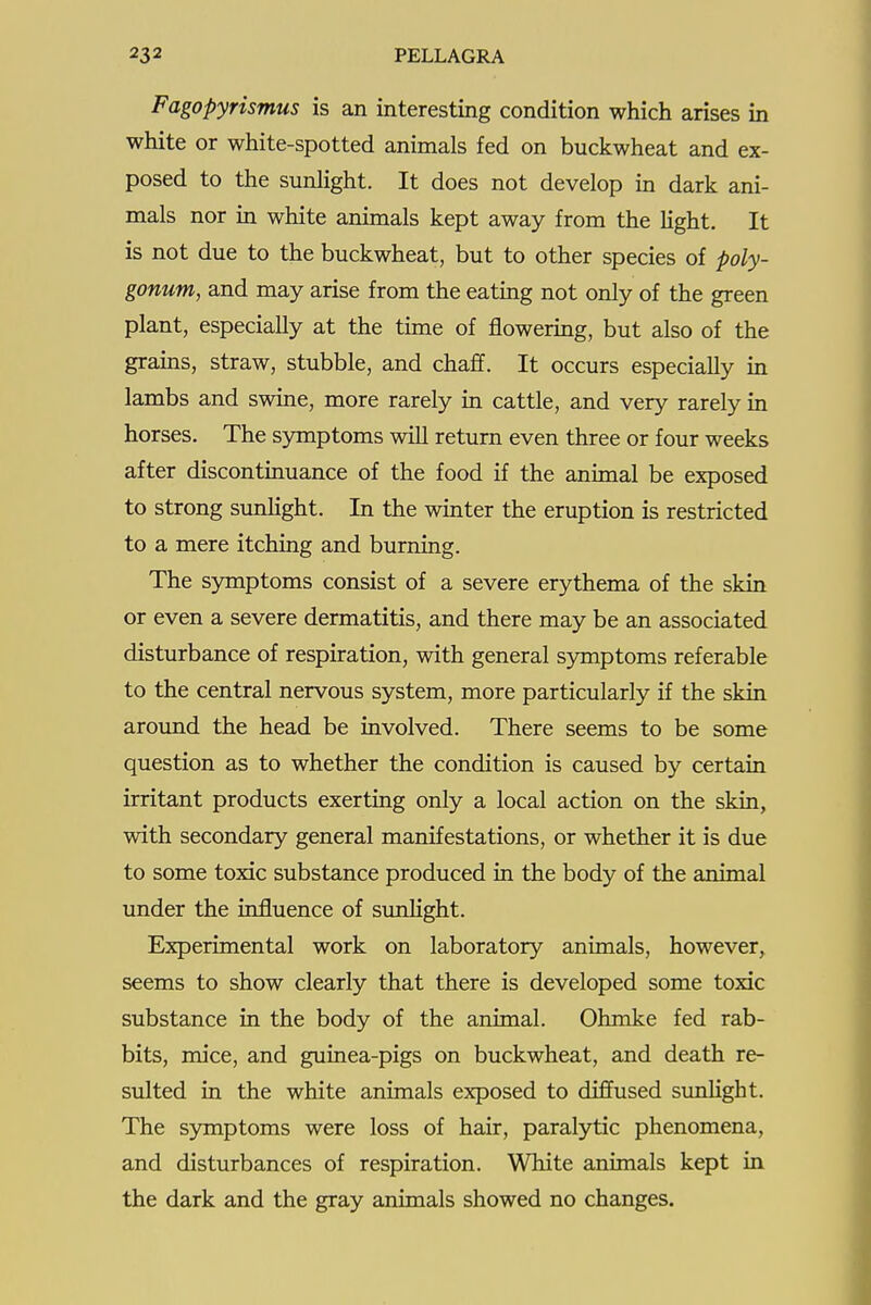 Fagopyrismus is an interesting condition which arises in white or white-spotted animals fed on buckwheat and ex- posed to the sunhght. It does not develop in dark ani- mals nor in white animals kept away from the Hght. It is not due to the buckwheat, but to other species of poly- gonum, and may arise from the eating not only of the green plant, especially at the time of flowering, but also of the grains, straw, stubble, and chaff. It occurs especially in lambs and swine, more rarely in cattle, and very rarely in horses. The symptoms wiU return even three or four weeks after discontinuance of the food if the animal be exposed to strong sunUght. In the winter the eruption is restricted to a mere itching and burning. The symptoms consist of a severe erythema of the skin or even a severe dermatitis, and there may be an associated disturbance of respiration, with general symptoms referable to the central nervous system, more particularly if the skin around the head be involved. There seems to be some question as to whether the condition is caused by certain irritant products exerting only a local action on the skin, with secondary general manifestations, or whether it is due to some toxic substance produced in the body of the animal under the influence of sunUght. Experimental work on laboratory animals, however, seems to show clearly that there is developed some toxic substance in the body of the animal. Ohmke fed rab- bits, mice, and guinea-pigs on buckwheat, and death re- sulted in the white animals exposed to diffused sunhght. The symptoms were loss of hair, paralytic phenomena, and disturbances of respiration. White animals kept in the dark and the gray animals showed no changes.