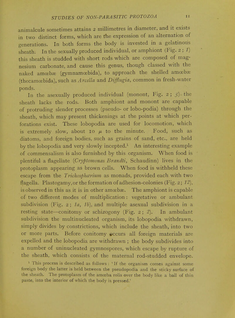 animalcule sometimes attains 2 millimetres in diameter, and it exists in two distinct forms, which are the expression of an alternation of generations. In both forms the body is invested in a gelatinous sheath: In the sexually produced individual, or amphiont (Fig. 2 ; 7) this sheath is studded with short rods which are composed of mag- nesium carbonate, and cause this genus, though classed with the naked amoebcC (gymnamoebida), to approach the shelled amoebse (thecamoebida), such Arcella and Difflugia, common in fresh-water ponds. In the asexually produced individual (monont. Fig. 2; 5)> the sheath lacks the rods. Both amphiont and monont are capable of protruding slender processes (pseudo- or lobo-podia) through the sheath, which may present thickenings at the points at which per- forations exist. These lobopodia are used for locomotion, which is extremely slow, about 10 /z to the minute. Food, such as diatoms, and foreign bodies, such as grains of sand, etc., are held by the lobopodia and very slowly incepted.^ An interesting example of commensalism is also furnished by this organism. When food is plentiful a flagellate [Cryptomonas Brandti, Schaudinn) lives in the protoplasm appearing as brown cells. When food is withheld these escape from the TrichosphcBvium as monads, provided each with two flagella. Plastogamy,or the formation of adhesion-colonies (Fig. 2; 72), is observed in this as it is in other amoebae. The amphiont is capable of two different modes of multiplication : vegetative or ambulant subdivision (Fig. 2 ; la, 1b), and multiple asexual subdivision in a resting state—conitomy or schizogony (Fig. 2 ; 2). In ambulant subdivision the multinucleated organism, its lobopodia withdrawn, simply divides by constrictions, which include the sheath, into two or m.ore parts. Before conitomy ©ccurs all foreign materials are expelled and the lobopodia are withdrawn ; the body subdivides into a number of uninucleated gymnospores, which escape by rupture of the sheath, which consists of the maternal rod-studded envelope. ^ This process is described as follows : 'If the organism comes against some foreign body the latter is held between the pseudopodia and the sticky surface of the sheath. The protoplasm of the amoeba rolis over the body like a ball of thin paste, into the interior of which the body is pressed.'