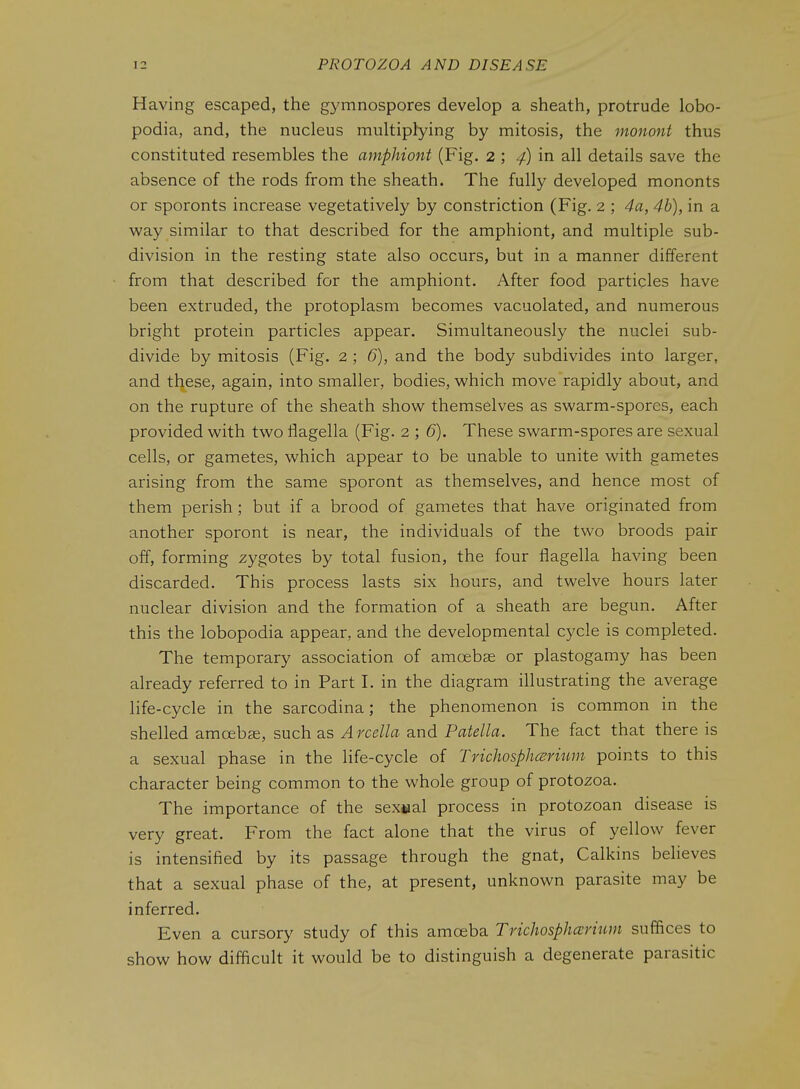 Having escaped, the gymnospores develop a sheath, protrude lobo- podia, and, the nucleus multiplying by mitosis, the monont thus constituted resembles the amphiont (Fig. 2 ; 4) in all details save the absence of the rods from the sheath. The fully developed mononts or sporonts increase vegetatively by constriction (Fig. 2 ; 4a, 4b), in a way similar to that described for the amphiont, and multiple sub- division in the resting state also occurs, but in a manner different from that described for the amphiont. After food particles have been extruded, the protoplasm becomes vacuolated, and numerous bright protein particles appear. Simultaneously the nuclei sub- divide by mitosis (Fig. 2 ; 6), and the body subdivides into larger, and tljese, again, into smaller, bodies, which move rapidly about, and on the rupture of the sheath show themselves as swarm-spores, each provided with two flagella (Fig. 2 ; 6). These swarm-spores are sexual cells, or gametes, which appear to be unable to unite with gametes arising from the same sporont as themselves, and hence most of them perish; but if a brood of gametes that have originated from another sporont is near, the individuals of the two broods pair off, forming zygotes by total fusion, the four flagella having been discarded. This process lasts six hours, and twelve hours later nuclear division and the formation of a sheath are begun. After this the lobopodia appear, and the developmental cycle is completed. The temporary association of amoebae or plastogamy has been already referred to in Part I. in the diagram illustrating the average life-cycle in the sarcodina; the phenomenon is common in the shelled amoebae, such as Arcella and Patella. The fact that there is a sexual phase in the life-cycle of TridiosphcErium points to this character being common to the whole group of protozoa. The importance of the sex»al process in protozoan disease is very great. From the fact alone that the virus of yellow fever is intensified by its passage through the gnat, Calkins beheves that a sexual phase of the, at present, unknown parasite may be inferred. Even a cursory study of this amoeba Trichosphccrium suffices to show how difficult it would be to distinguish a degenerate parasitic