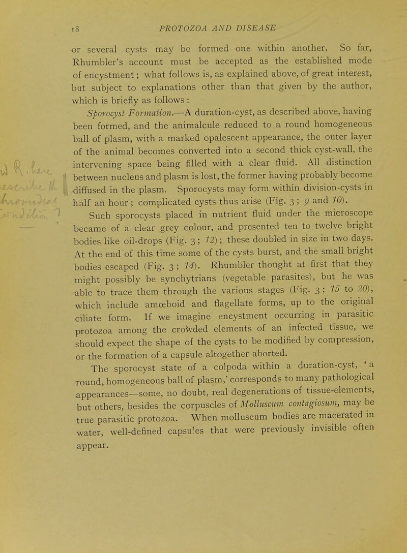 or several cysts may be formed one within another. So far, Rhumbler's account must be accepted as the estabhshed mode of encystment; what follows is, as explained above, of great interest, but subject to explanations other than that given by the author, which is briefly as follows : Sporocyst Formation.—A duration-cyst, as described above, having been formed, and the animalcule reduced to a round homogeneous ball of plasm, with a marked opalescent appearance, the outer layer of the animal becomes converted into a second thick cyst-wall, the intervening space being filled with a clear fluid. All distinction ll between nucleus and plasm is lost, the former having probably become diffused in the plasm. Sporocysts may form within division-cysts in half an hour; complicated cysts thus arise (Fig. 3 ; p and 10). Such sporocysts placed in nutrient fluid under the microscope became of a clear grey colour, and presented ten to twelve bright bodies like oil-drops (Fig. 3 ; 12); these doubled in size in two days. At the end of this time some of the cysts burst, and the small bright bodies escaped (Fig. 3 ; 14). Rhumbler thought at first that they might possibly be synchytrians (vegetable parasites), but he was able to trace them through the various stages (Fig. 3 ; 75 to 20), which include amoeboid and flagellate forms, up to the original ciliate form. If we imagine encystment occurring in parasitic protozoa among the croWded elements of an infected tissue, we should expect the shape of the cysts to be modified by compression, or the formation of a capsule altogether aborted. The sporocyst state of a colpoda within a duration-cyst, 'a round, homogeneous ball of plasm,' corresponds to many pathological appearances—some, no doubt, real degenerations of tissue-elements, but others, besides the corpuscles oi Molluscum contagiosum, may be true parasitic protozoa. When molluscum bodies are macerated in water, well-defined capsules that were previously invisible often appear.