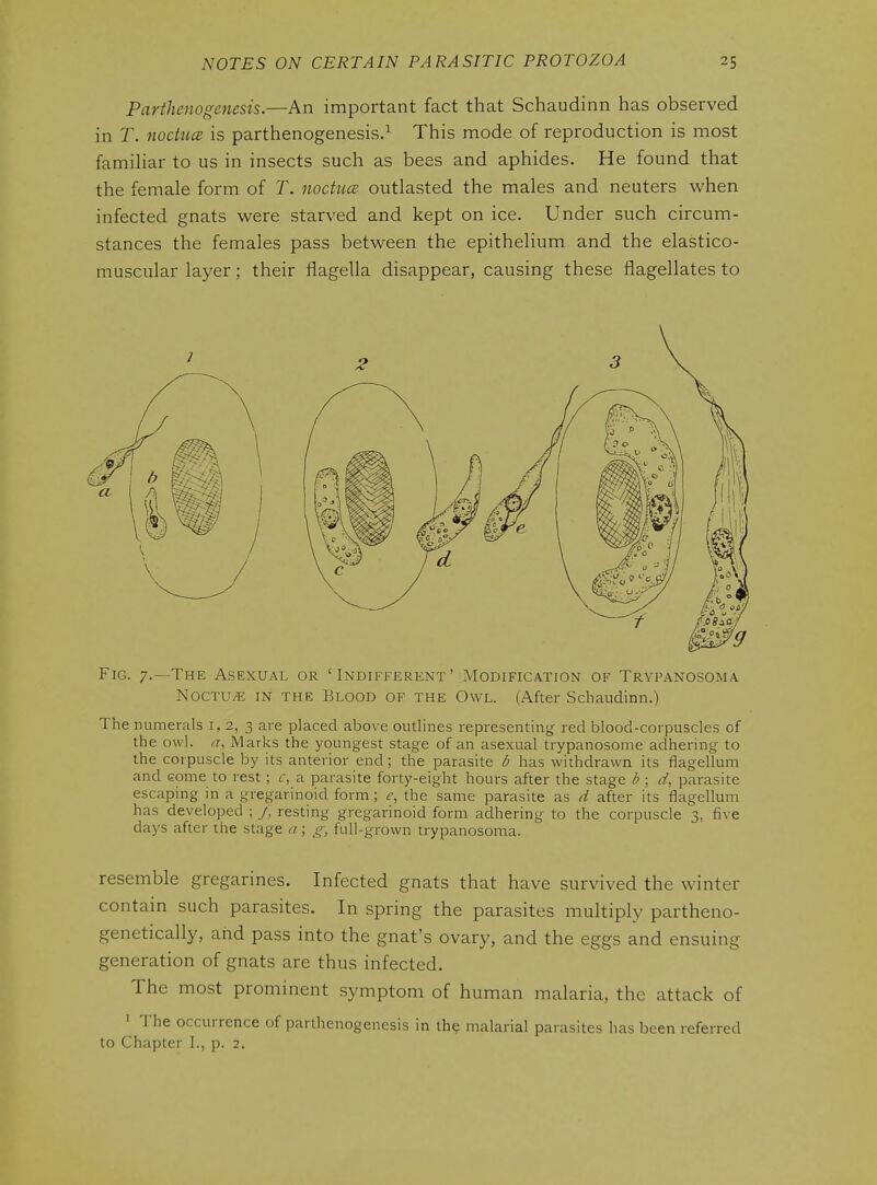 Parthenogenesis.—An important fact that Schaudinn has observed in T. noctucB is parthenogenesis.^ This mode of reproduction is most famihar to us in insects such as bees and aphides. He found that the female form of T. noctucB outlasted the males and neuters when infected gnats were starved and kept on ice. Under such circum- stances the females pass between the epithelium and the elastico- muscular layer; their flagella disappear, causing these flagellates to Fig. 7.—The Asexual or ' Indifferent ' Modification of Trypanosoma NocTU/E IN THE Blood OF THE OwL. (After Schaudinn.) The numerals i, 2, 3 are placed above outlines representing red blood-corpuscles of the owl. a, Marks the youngest stage of an asexual trypanosome adhering to the corpuscle by its anterior end; the parasite b has withdrawn its flagellum and Gome to rest; c, a parasite forty-eight hours after the stage b ; d, parasite escaping in a gregarinoid form; e, the same parasite as d after its flagellum has developed ; J] resting gregarinoid form adhering to the corpuscle 3, five days after the stage a; g, full-grown trypanosoma. resemble gregarines. Infected gnats that have survived the winter contain such parasites. In spring the parasites multiply partheno- genetically, and pass into the gnat's ovary, and the eggs and ensuing generation of gnats are thus infected. The most prominent symptom of human malaria, the attack of 1 The occurrence of parthenogenesis in the malarial parasites has been referred to Chapter I., p. 2.