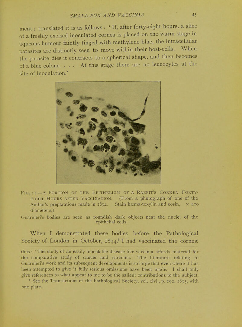 ment; translated it is as follows : ' If, after forty-eight hours, a slice of a freshly excised inoculated cornea is placed on the warm stage in aqueous humour faintly tinged with methylene blue, the intracellular parasites are distinctly seen to move within their host-cells. When the parasite dies it contracts to a spherical shape, and then becomes of a blue colour. ... At this stage there are no leucocytes at the site of inoculation.' Fig. II.—a Portion of the Epithelium of a Rabbit's Cornea Forty- eight Hours after Vaccination. (From a photograph of one of the Author's preparations made in 1894. Stain ha;ma-toxylin and eosin. x 400 diameters.) Guarnieri's bodies are seen as roundish dark objects near the nuclei of the epithehal cells. When I demonstrated these bodies before the Pathological Society of London in October, 1894,^ I had vaccinated the cornese thus : ' The study of an easily inoculable disease like vaccinia affords material for the comparative study of cancer and sarcoma.' The literature relating to Guarnieri's work and its subsequent developments is so large that even where it has been attempted to give it fully serious omissions have been made. I shall only give references to what appear to me to be the salient contributions to the subject. ^ See the Transactions of the Pathological Society, vol. xlvi., p. 192, 1895, with one plate.