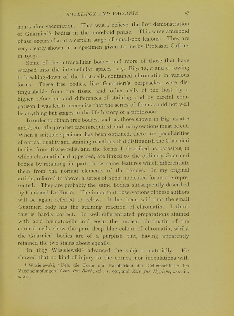 hours after vaccination. That was, I believe, the first demonstration of Guarnieri's bodies in the amoeboid phase. This same amoeboid phase occurs also at a certain stage of small-pox lesions. They are very clearly shown in a specimen given to me by Professor Calkins in 1903. Some of the intracellular bodies, and more of those that have escaped into the intercellular spaces—e.g^., Fig. 12, a and 6—owing to breaking-down of the host-cells, contained chromatin in various forms. These free bodies, like Guarnieri's corpuscles, were dis- tinguishable from the tissue and other cells of the host by a higher refraction and differences of staining, and by careful com- parison I was led to recognise that the series of forms could not well be anything but stages in the life-history of a protozoon. In order to obtain free bodies, such as those shown in Fig. 12 at a and b, etc., the greatest care is required, and many sections must be cut. When a suitable specimen has been obtained, there are peculiarities of optical quality and staining reactions that distinguish the Guarnieri bodies from tissue-cells, and the forms I described as parasites, in which chromatin had appeared, are linked to the ordinary Guarnieri bodies by retaining in part those same features which, differentiate them from the normal elements of the tissues. In my original article, referred to above, a series of such nucleated forms are repre- sented. They are probably the same bodies subsequently described by Funk and De Korte. The important observations of these authors will be again referred to below. It has been said that the small Guarnieri body has the staining reaction of chromatin. I think this is hardly correct. In well-differentiated preparations stained with acid haematoxylin and eosin the nuclear chromatin of the corneal cells show the pure deep blue colour of chromatin, whilst the Guarnieri bodies are of a purplish tint, having apparently retained the two stains about equally. In 1897 Wasielewski^ advanced the subject materially. He showed that no kind of injury to the cornea, nor inoculations with ^ Wasielewski, ' Ueb. die Form und Farbbarkeit der Celleinschlusse bei Vaccineimpfiingen,' Cent, fiir Baki., xxi., s. goi, and Zcit. fiir Hygiene, xxxviii., s. 212.