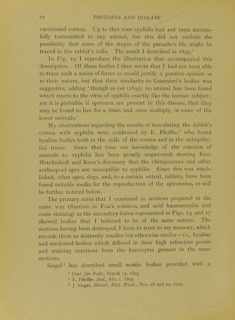 vaccinated cornea. Up to that time syphilis had not been success- full}' transmitted to an}^ animal, but this did not exclude the possibility that some of the stages of the parasite's life might be traced in the rabbit's cells. The result I described in 1895/ In Fig. ig I reproduce the illustration that accompanied this description. Of these bodies I then wrote that I had not been able to trace such a series of forms as would justify a positive opinion as to their nature, but that their similarity to Guarnieri's bodies was suggestive, adding ' though as yet (1895) no animal has been found which reacts to the virus of syphilis exactly like the human subject; yet it is probable, if sporozoa are present in this disease, that the}' may be found to live for a time, and even multiply, in some of the lower animals.' My observations regarding the results of inoculating the rabbit's cornea with syphilis were confirmed by E. Pfeiffer,- who found hyaline bodies both in the cells of the cornea and in the subepithe- Hal tissue. Since that time our knowledge of the reaction of animals to syphilis has been greatly augmented, starting from Metchnikoff and Roux's discovery that the chimpanzees and other anthropoid apes are susceptible to syphilis. Since this was estab- lished, other apes, dogs, and, to a certain extent, rabbits, have been found suitable media for the reproduction of the spironema, as will be further noticed below. The primary sores that I examined in sections prepared in the same way (fixation in Foa's solution, and acid hsematoxylin and eosin staining) as the secondary lesion represented in Figs. 15 and 17 showed bodies that I believed to be of the same nature. The sections having been destroyed, I have to trust to my memory, which records them as distinctly smaller but otherwise similar—hyaline and nucleated bodies which differed in their high refractive power and staining reactions from the leucocytes present in the same sections. Siegel'' has described small motile bodies provided with a 1 Cent, fiir Bakt., March 15, 1895. E. Pfeififer, ibid., Abt. i, 1895. 3 J. Siegel, Miinch. Med. JVoc/i., Nos. 28 and 29, 1905.