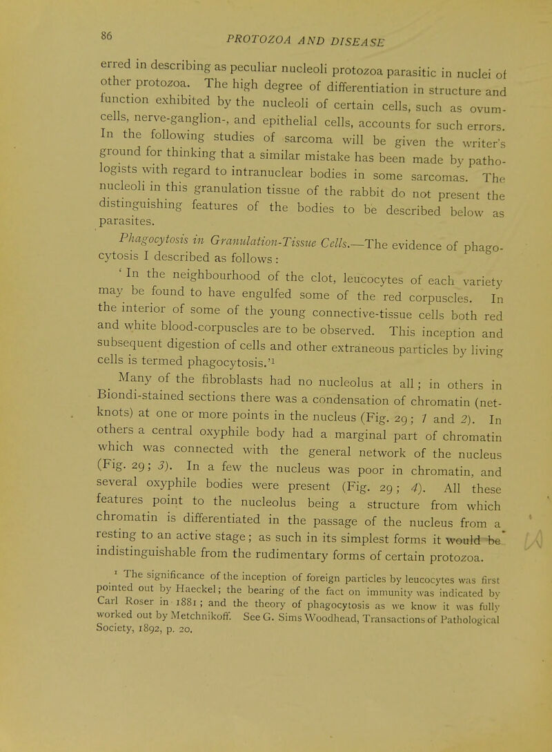 erred in describing as peculiar nucleoli protozoa parasitic in nuclei of other protozoa. The high degree of differentiation in structure and function exhibited by the nucleoli of certain cells, such as ovum- cells, nerve-ganglion-, and epithehal cells, accounts for such errors In the following studies of sarcoma will be given the writer's ground for thinking that a similar mistake has been made by patho- logists with regard to intranuclear bodies in some sarcomas. The nucleoli in this granulation tissue of the rabbit do not present the distinguishing features of the bodies to be described below as parasites. Phagocytosis in Gramdation-Tissue Cells.~The evidence of phago- cytosis I described as follows : ' In the neighbourhood of the clot, leucocytes of each variety may be found to have engulfed some of the red corpuscles. In the interior of some of the young connective-tissue cells both red and white blood-corpuscles are to be observed. This inception and subsequent digestion of cells and other extraneous particles by living cells is termed phagocytosis. _ Many of the fibroblasts had no nucleolus at all; in others in Biondi-stained sections there was a condensation of chromatin (net- knots) at one or more points in the nucleus (Fig. 29; 7 and 2). In others a central oxyphile body had a marginal part of chromatin which was connected with the general network of the nucleus (Fig. 29; J). In a few the nucleus was poor in chromatin, and several oxyphile bodies were present (Fig. 29; 4). All these features point to the nucleolus being a structure from which chromatin is differentiated in the passage of the nucleus from a resting to an active stage; as such in its simplest forms it would be' indistinguishable from the rudimentary forms of certain protozoa. ' The significance of the inception of foreign particles by leucocytes was first pointed out by Haeckel; the bearing of the fact on immunity was indicated bv Carl Roser m 1881 ; and the theory of phagocytosis as we know it was fuUv worked out by Metchnikofif. See G. Sims Woodhead, Transactions of Pathological Society, 1892, p. 20.