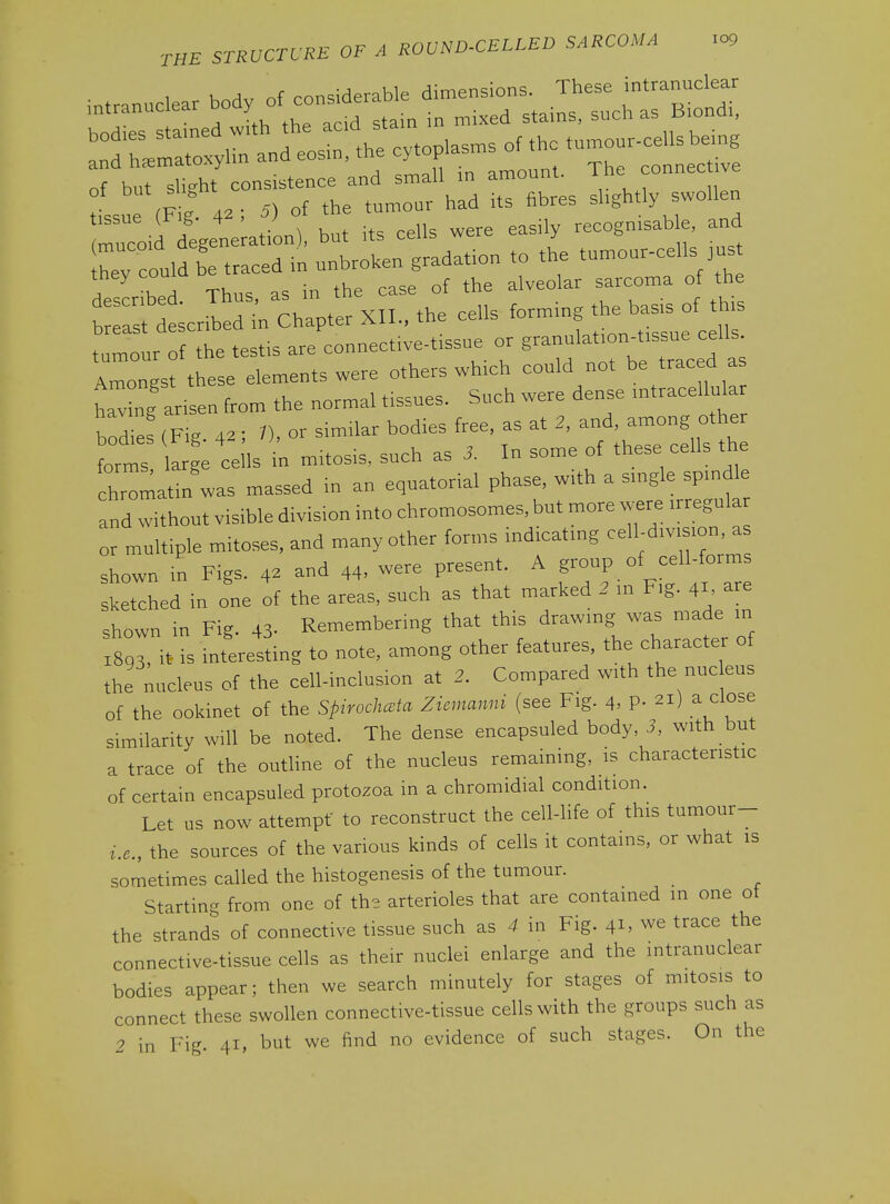 , K M, nf considerable dimensions. These intranuclear intranuclear ^ody of consider ^^^.^^^ ^^^^^^ ^.^^^.^ ::drxran:ts::th:c,top,asrnsofti,^ ofbursHght consistence and small in amount. The -nnec >ve <.^. . ; . of tbe _ ^^^^^X^:^:^ r; 1 rrrrii to t^e tumour-ceus .ust tsLibed. Thus, as in the case of the .ve.a arc^oma of the breast described m Chapter XII., the cells lorm g tumour of the testis are connect.ve-t.ssue or g-^^^^^^f ^^^^^f Amongst these elements were others which could not be traced as Lv ng arisen from the normal tissues. Such were dense mtracellular bodies (FiR 42; 1), or similar bodies free, as at 2, and, among other forts 2; ceils in mitosis, such as 3. In some of these cells the Ihr'matin was massed in an equatorial phase, with a smgle spindle and without visible division into chromosomes, but more ^v^re irregular or multiple mitoses, and many other forms indicating cell-division, a shown m Figs. 42 and 44, were present. A group _ of cell-forms sketched in one of the areas, such as that marked 2 m Fig. 41, are shown in Fig. 43- Remembering that this drawing was made in X893, it is interesting to note, among other features, the character of the nucleus of the cell-inclusion at 2. Compared with the nuc eus of the ookinet of the Spirochceta Ziemanni (see Fig. 4> P- 21) a close similarity will be noted. The dense encapsuled body, 3, with but a trace of the outHne of the nucleus remaining, is characteristic of certain encapsuled protozoa in a chromidial condition. Let us now attempt to reconstruct the cell-Hfe of this tumour- ^.e., the sources of the various kinds of cells it contains, or what is sometimes called the histogenesis of the tumour. Starting from one of th-- arterioles that are contained in one ot the strands of connective tissue such as 4 in Fig. 41. we trace the connective-tissue cells as their nuclei enlarge and the intranuclear bodies appear; then we search minutely for stages of mitosis to connect these swollen connective-tissue cells with the groups such as