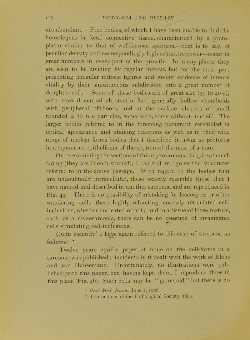are abundant. Free bodies, of which I have been unable to find the homologues in foetal connective tissue, characterized by a proto- plasm similar to that of well-known sporozoa—that is to say, of peculiar density and correspondingly high refractive power—occur in great numbers in every part of the growth. In many places they are seen to be dividing by regular mitosis, but for the most part presenting irregular mitotic figures and giving evidence of intense vitality by their simultaneous subdivision into a great number of daughter cells. Some of these bodies are of great size (30 to. 40 //.), with several central chromatin foci, generally hollow rhomboids with peripheral offshoots, and at the surface clusters of small rounded 2 to 6 particles, some with, some without, nuclei.' The larger bodies referred to in the foregoing paragraph resembled in optical appearance and staining reactions as well as in their wide range of nuclear forms bodies that I described in 1892 as protozoa in a squamous epithelioma of the septum of the nose of a man. On re-examining the sections of this myxosarcoma, in spite of much fading (they are Biondi-stained), I can still recognise the structures referred to in the above passage. With regard to the bodies that are undoubtedly intracellular, these exactly resemble those that I have figured and described in another sarcoma, and are reproduced in Fig. 45. There is no possibility of mistaking for leucocytes or other wandering cells these highly refracting, coarsely reticulated cell- inclusions, whether nucleated or not; and in a tissue of loose texture, such as a myxosarcoma, there can be no question of invaginated cells simulating cell-inclusions. Quite recently^ I have again referred to this case of sarcoma as follows : ' 'Twelve years ago^ a paper of mine on the cell-forms in a sarcoma was published ; incidentally it dealt with the work of Klebs and von Hansemann. Unfortunately, no illustrations were pub- lished^ with this paper, but, having kept them, I reproduce three in this place (Fig. 46). Such cells may be  gametoid, but there is no ^ Brti. Med. Journ.^ June 2, 1906. 2 Transactions of the Pathological Society, 1894.