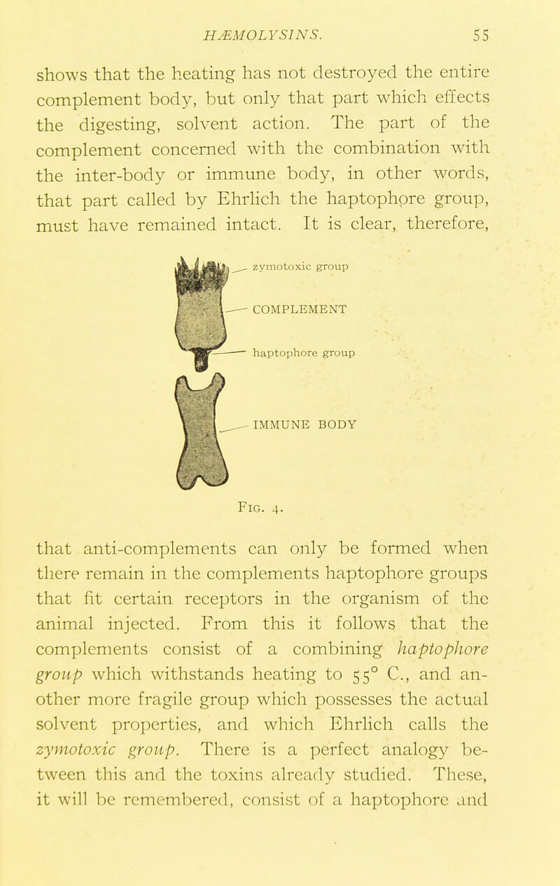 shows that the heating has not destroyed the entire complement body, but only that part which effects the digesting, solvent action. The part of the complement concerned with the combination with the inter-body or immune body, in other words, that part called by Ehrlich the haptophore group, must have remained intact. It is clear, therefore, zymotoxic group COMPLEMENT haptophore group IMMUNE BODY Fig. 4. that anti-complements can only be formed when there remain in the complements haptophore groups that fit certain receptors in the organism of the animal injected. From this it follows that the complements consist of a combining haptophore group which withstands heating to 550 C, and an- other more fragile group which possesses the actual solvent xjroPerties, and which Ehrlich calls the zymotoxic group. There is a perfect analogy be- tween this and the toxins already studied. These, it will be remembered, consist of a haptophore and