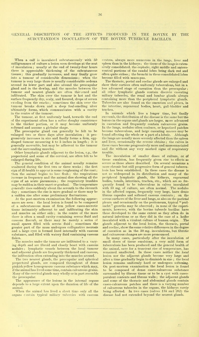 -GENERAL DESCRIPTION OF THE EFFECTS PRODUCED IN THE BOVINE BY THE SUBCUTANEOUS INOCULATION OF THE BOVINE TUBERCLE BACILLUS. When a calf is inoculated subcutaneously with 50 milligrammes of culture a lesion soon develops at the seat of inoculation ; usually at the end of twenty-four hours there is appreciable thickening of the subcutaneous tissues ; this gradually increases, and may finally grow into a tumour of considerable dimensions ; when the tumour is very large there is usually considerable oedema around its lower part and also aroimd the prescapular gland and in the dewlap, and the muscles between the tumour and nearest glands are often thickened and infiltrated. The skin over the tumour is hot and the surface frequently dry, scaly, and fissured, drops of serum exuding from the cracks ; sometimes the skin over the tumour breaks down and a deep foul-smelling ulcer ultimately forms, which communicates with a cavity in the centre of the tumour. The tumour, at first uniformly hard, towards the end of the experiment often has a softer doughy consistence in the thicker portion, or it may become uniformly softened and assume a globular shape. The prescapular gland can generally be felt to be •enlarged two or throe days after inoculation ; it pro- gressively increases in size and finally forms a firm, egg- shaped tumour measuring 4 to 5 inches in length ; it is generally moveable, but may be adherent to the tumour and the surrounding muscles. Other lymphatic glands adjacent to the lesion, e.g., the prepectoral and some of the cervical, are often felt to be enlarged during life. The general condition of the animal usually remains unaltered during the first two or three weeks ; the first sign of ill-health to appear is some roughening of the coat; then the animal begins to lose flesh ; the respirations increase in frequency and the animal dies showing all the signs of an acute pneumonia ; the respiratory troubles may be ^dden in their onset or gradual. The temperature generally rises suddenly about the seventh to the eleventh day ; sometimes the rise is more gradual or there may be a sudden rise after some preliminary fluctuations. At the post-mortem examination the following appear- ances are seen: the local lesion is found to be composed -of a subcutaneous mass of firm yellow caseo-necrotic tissue intimately adherent to and infiltrating the skin and muscles on either side ; in the centre of the mass there is often a small cavity containing serous fluid and caseous flocculi, or there may be merely a series of small spaces filled with serous fluid; sometimes the greater part of the mass undergoes colliquative necrosis and a large cyst is formed lined internally with caseous substance, and filled with watery fluid containing caseous flakes. ' The muscles under the tumour are infiltrated to a vary- ing depth and are fibroid and closely beset with caseous aedules; lymphatic vessels between the local tumour and adjacent glands are frequently thickened and caseous, the infiltration often extending into the muscles around. The two nearest glands, the prescapular and spherical prepectoral glands, are composed throughout of dense pinkish yellow homogeneous caseous substance which may, if the animal has hved some time, contain calcareous grains. Many of the cervical glands may wholly or in part resemble the prescapular. The appearance of the lesions in the internal organs depends to a large extent upon the duration of life of the animal. When the animal has lived a short time only all the organs contain typical mihary tubercles with caseous centres, always more numerous in the lungs, liver and spleen than in the kidneys; the tissue of the lungs is exten- sively consolidated, the cephalic, right middle and antero- ventral portions of the caudal lobes being dark red and often quite airless ; the bronchi in these consolidated lobes become filled with muco-pus. The thoracic, portal and coeliac glands are enlarged and show their cortices often uniformly tuberculous, but in a less advanced stage of caseation than the prescapular; all other lymphatic glands contain discrete caseating miliary tubercles, the renal and lumbar glands always containing more than the peripheral lymphatic glands. Tubercles are also found on the omentum and pleura, in the intestine, suprarenal bodies, heart, gall-bladder and trachea. In animals which live a longer time, but finally succumb, the distribution of the disease is the same but the lesions in the organs and glands are larger, more advanced in caseation and frequently contain calcareous grains. In the lungs, nodules often coalesce, or hepatised patches become tuberculous, and large caseating masses may be found affecting the whole or a part of a lobule. Although the lungs are usually more severely affected than the spleen and liver, occasionally the reverse obtains ; the calves in these cases become progressively more and more emaciated and die wthout any very marked signs of respiratory trouble. The inoculation of smaller doses of culture, or of tissue emulsion, has frequently given rise to effects as severe as those above described. On several occasions a more chronic but still progressive form of general tubercu- losis has been estabUshed. In these cases the disease is not so widespread in its distribution and many of the peripheral lymphatic glands, the kidneys, suprarenal bodies, tonsils, intestines, trachea, etc., which are so fre- quently found to be tuberculous in calves inoculated with 50 mg. of culture, are often normal. The nodules in the affected organs, frequently very large, have dense fibrous capsules and softened caseous contents ; on the serous surfaces of the liver and lungs, as also on the parietal pleura and occasionally on the peritoneum, typical  perl- sucht growths may be observed; in none of the experi- ments, however, with the bovine tubercle bacillus have these developed to the same extent as they often do in natural infections or as they did in the case of a heifer inoculated with a virulent culture of human origin. The glands adjacent to the local lesion, the thoracic, portal and coeliac, show the same relative differences in the degree of caseation as in the 50 mg. inoculations, but fibrotic and calcareous changes are more pronounced. In many cases, particularly after the inoculation of small doses of tissue emulsions, a very mild form of tuberculosis has been produced and the general health of the animal, save for a transient rise of temperature, has remained unaffected. In these cases neither the local lesion nor the adjacent glands become very large and after a time gradually begin to diminish in size ; the local lesion remains uniformly hard or xmdergoes softening. On post-mortem examination the local lesion is found to be composed of dense caseo-calcareous substance surrounded by fibrous tissue or to be a cyst with caseo- purulent contents and fibrous walls ; the adjacent glands and some of the thoracic and abdominal glands contain caseo-calcareous patches and there is a varying number of calcareous tubercles in the organs, the kidneys rarely being affected. In two cases (calves 134 and 202) the disease had not extended beyond the nearest glands.