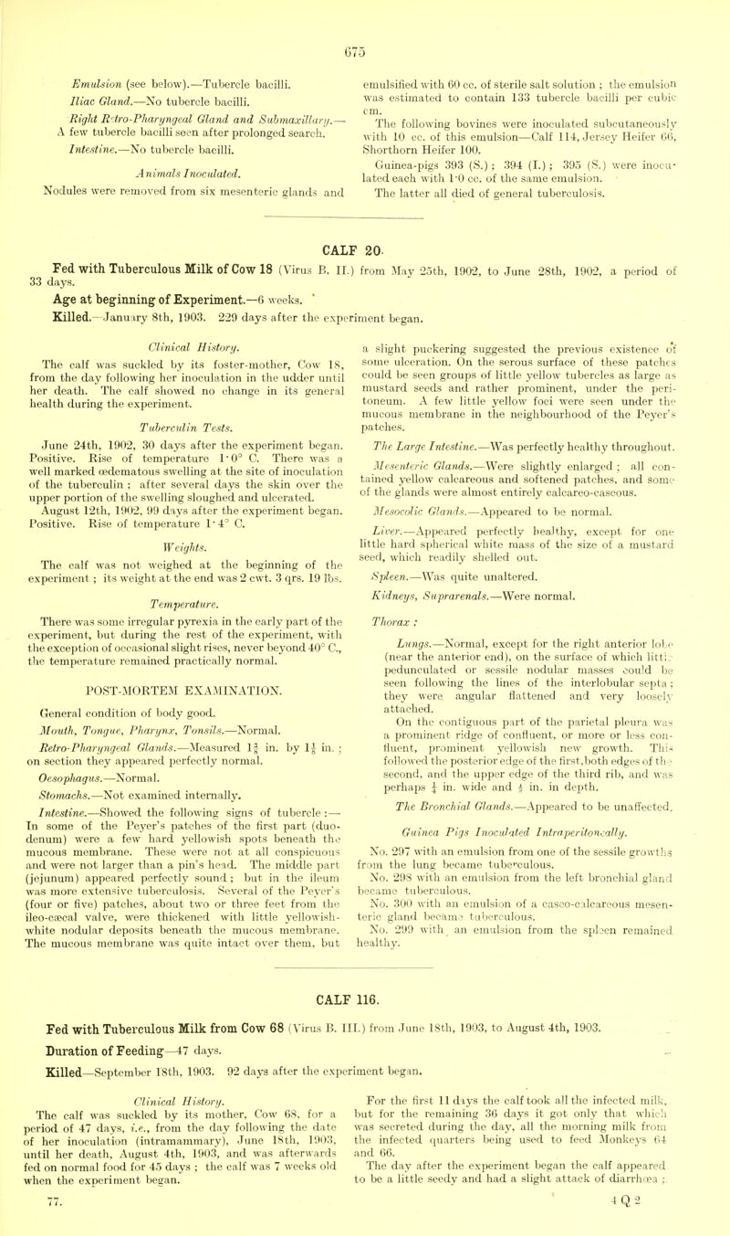 Emulsion (see below).—Tubercle bacilli. Iliac Gland.—No tubercle bacilli. Right R'tro-PIiaryngeal Gland and Submaxillartj.—• A few tubercle bacilli seen after prolonged search. Intestine.—No tubercle bacilli. Animals Inoculated. Nodules were removed from six mesenteric glands and emulsified with 60 cc. of sterile salt solution ; the emulsion was estimated to contain 133 tubercle bacilli per cubic cm. The following bovines were inoculated subcutaneously with 10 cc. of this emulsion—Calf 114, Jersey Heifer 66, Shorthorn Heifer 100. Guinea-pigs 393 (S.) ; 394 (I.); 395 (S.) were inocu- lated each with TO cc. of the same emulsion. The latter all died of general tuberculosis. CALF 20. Fed with Tuberculous Milk of Cow 18 (Virus B. II.) from May 2.5th, 1902, to June 28th, 1902, a period of 33 days. Age at beginning of Experiment.—6 weeks. Killed.- January 8th, 1903. 229 days after the experiment began. Clinical History. The calf was suckled by its foster-mother. Cow 18, from the day following her inoculation in the udder until her death. The calf showed no change in its general health during the experiment. Tuberculin Tests. June 24th, 1902, 30 days after the experiment began. Positive. Rise of temperature T 0° C. There was a well marked oedematous swelling at the site of inoculation of the tuberculin ; after several days the skin over the upper portion of the swelling sloughed and ulcerated. August r2th, 1902, 99 days after the experiment began. Positive. Rise of temperature 1 ■ 4° C. W eights. The calf was not weighed at the beginning of the experiment; its weight at the end was 2 cwt. 3 qrs. 19 lbs. Temperature. There was some irregular pyrexia in the early part of the experiment, but during the rest of the experiment, with the exception of occasional slight rises, never beyond 40° C, the temperature remained practically normal. POST-MORTEM EXAMINATION. General condition of body good. Month, Tongue, Pharynx, Tonsils.—Normal. Retro-Pharyngeal Glands.—Measured If in. by IJ in. ; on section they appeared perfectly normal. Oesophagus.—Normal. Stomachs.—Not examined internally. Intestine.—Showed the following signs of tubercle : — Tn some of the Peyer's patches of the first part (duo- denum) were a few hard yellowish spots beneath the mucous membrane. These were not at all conspicuous and were not larger than a pin's head. The middle part (jejunum) appeared perfectly sound ; but in the ileum was more extensive tuberculosis. Several of the Peyer's (four or five) patches, about two or three feet from the ileo-csecal valve, were thickened with little j-ellowish- white nodular deposits beneath the mucous membrane. The mucous membrane was quite intact over them, but a slight puckering suggested the previous existence of some ulceration. On the serous surface of these patches could be seen groups of little yellow tubercles as large as mustard seeds and rather prominent, under the peri- toneum. A few little yellow foci were seen under the mucous membrane in the neighbourhood of the Peyer's patches. The Large Intestine.—Was perfectly healthy throughout. Mesenteric Glands.—Were slightly enlarged ; all con- tained yellow calcareous and softened patches, and some of the glands were almost entirely calcareo-caseous. Mesocolic Glands.—Appeared to be normal. Liver.—Appeared perfectly healthy, except for one little hard spherical white mass of the size of a mustard seed, which readily shelled out. Spleen.—Was quite unaltered. Kidneys, Suprarenals.—Were normal. Thorax : Lungs.—Normal, except for the right anterior lo!,e (near the anterior end), on the surface of which littL- pedunculated or sessile nodular masses oould be seen following the lines of the interlobular septa ; they were angular flattened and very loosely attached. On the contiguous part of the parietal pleui'a was a prominent ridge of confluent, or more or less con- fluent, prominent yellowish new growth. This followed the posterior edge of the first,both edges of th-:- second, and the upper edge of the third rib, and was 2)erhaps J in. wide and ^ in. in depth. The Bronchial Glands.—Appeared to be unaflfected. Guinea Pigs Inoculated Intraperitoncally. No. 297 with an emulsion from one of the sessile growths from the lung became tube'^culous. No. 298 with an emulsion from the left bronchial gland became tuberculous. No. 300 with an emulsion of a casoo-calcareous mesen- teric gland becani'j tuberculous. No. 299 with an emulsion from the spL^cn remained healthy. CALF 116. Fed with Tuberculous Milk from Cow 68 (Virus B. III.) from June 18th, 1903, to August 4th, 1903. Duration of Feeding—47 days. Killed—September 18th, 1903. 92 days after the experiment began. Clinical History. The calf was suckled by its mother. Cow 68, for a period of 47 days, i.e., from the day following the date of her inoculation (intramammary), June 18th, 1903, until her death, August 4th, 1903, and was afterwards fed on normal food for 45 days ; the calf was 7 weeks old when the experiment began. For the first 11 days the calf took all the infected milk, but for the remaining 36 days it got only that whic'i was secreted during the day, all the morning milk from the infected quarters being used to feed Monke3's 64 and 66. The day after the experiment began the calf appeared to be a little seedy and had a slight attack of diarrhcea ,v 77. 4Q2