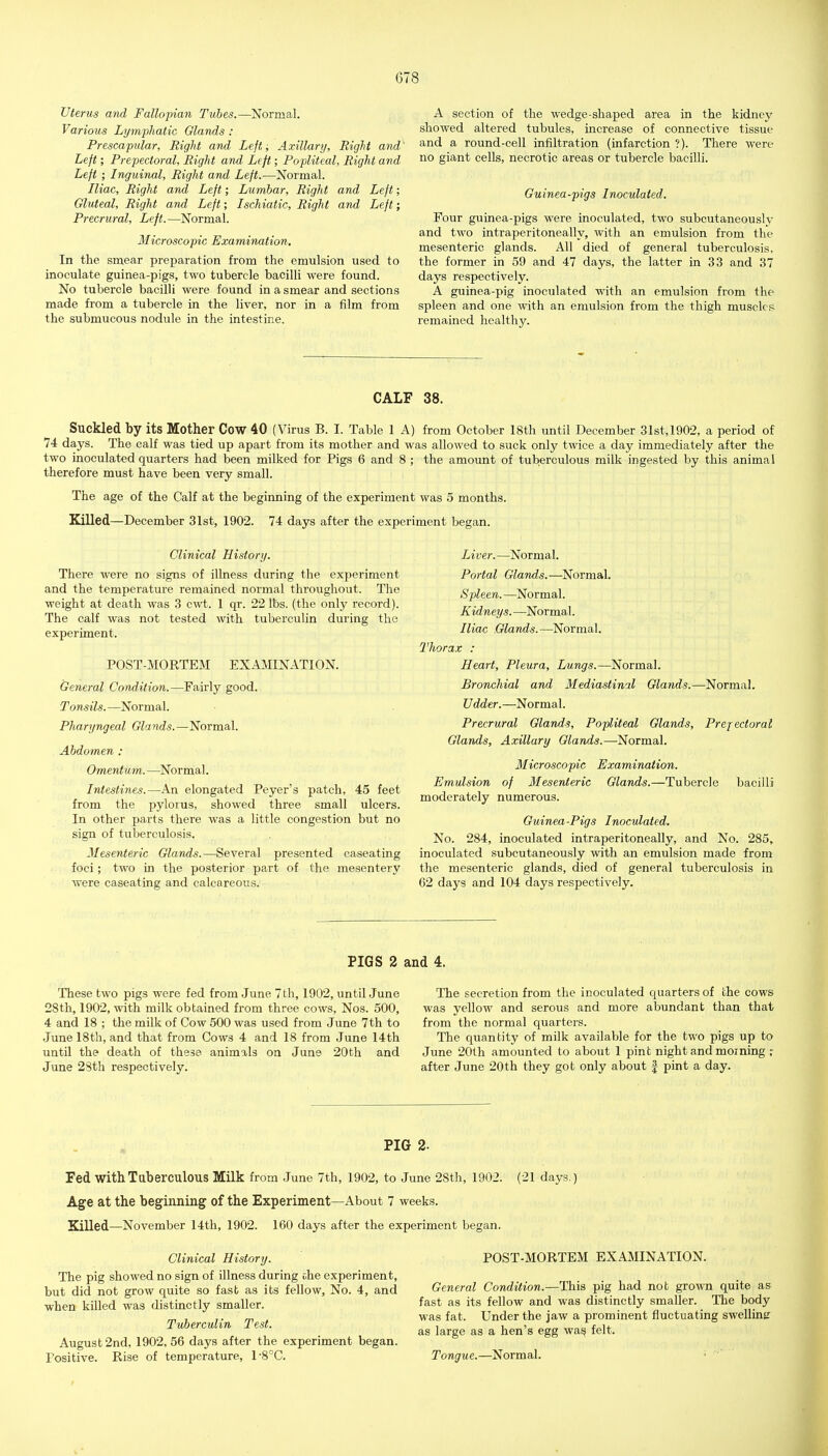 Uterus and Fallopian Tubes.—Normal. Various Lymphatic Glands : Prescapiilar, Right and Left; Axillary, Right and Left; Prepectoral, Right and Left; Popliteal, Right and Left ; Inguinal, Right and Left.—Normal. Iliac, Right and Left; Lumbar, Right and Left; Gluteal, Right and Left; Ischiatic, Right and Left; Precrural, Left.—Normal. Microscopic Examination, In the smear preparation from the emulsion used to inoculate guinea-pigs, two tubercle bacilli were found. No tubercle bacilli were found in a smear and sections made from a tubercle in the liver, nor in a film from the submucous nodule in the intestine. A section of the wedge-shaped area in the kidney showed altered tubules, increase of connective tissue and a round-cell infiltration (infarction ?). There were no giant cells, necrotic areas or tubercle bacilli. Guinea-pigs Inoculated. Four guinea-pigs were inoculated, two subcutaneously and two intraperitoneally, with an emulsion from the mesenteric glands. All died of general tuberculosis, the former in 59 and 47 days, the latter in 33 and 37 days respectively. A guinea-pig inoculated with an emulsion from the spleen and one with an emulsion from the thigh musclcfi remained healthy. CALF 38. Suckled by its Mother Cow 40 (Virus B. I. Table 1 A) from October 18th until December 31st,1902, a period of 74 days. The calf was tied up apart from its mother and was allowed to suck only twice a day immediately after the two inoculated quarters had been milked for Pigs 6 and 8 ; the amount of tuberculous milk ingested by this animal therefore must have been very small. The age of the Calf at the beginning of the experiment was 5 months. Killed—December 31st, 1902. 74 days after the experiment began. Clinical History. There were no signs of illness during the experiment and the temperature remained normal throughout. The weight at death was 3 cwt. 1 qr. 22 lbs. (the only record). The calf was not tested with tuberculin during the experiment. POST-MORTEM EXAMINATION. General Condition.—Fairly good. Tonsils.—Normal. Pharyngeal Glands.—Normal. Abdomen : Omentum. —Normal. Intestines.—An elongated Peyer's patch, 45 feet from the pylorus, showed three small ulcers. In other parts there was a little congestion but no sign of tuberculosis. Mesenteric Glands.—Several presented caseating foci; two in the posterior part of the mesentery were caseating and calcareous. Liver. —Normal. Portal Glands.—Normal. Spleen.—Normal. Kidneys.—Normal. Iliac .Glands.—Normal. Thora.t : Heart, Pleura, Lungs.—Normal. Bronchial and Mediastinal Glands.—Normal. Udder.—Normal. Precrural Glands, Popliteal Glands, Prepectoral Glands, Axillary Glands.—Normal. Microscopic Examination. Emulsion of Mesenteric Glands.—Tubercle bacilli moderately numerous. Guinea-Pigs Inoculated. No. 284, inoculated intraperitoneally, and No. 285, inoculated subcutaneously with an emulsion made from the mesenteric glands, died of general tuberculosis in 62 days and 104 days respectively. PIGS 2 and 4. These two pigs were fed from June 7 th, 1902, until June 28tli, 1902, with milk obtained from three cows, Nos. 500, 4 and 18 ; the milk of Cow 500 was used from June 7th to June 18th, and that from Cows 4 and 18 from June 14th until the death of these animals on June 20th and June 2Sth respectively. The secretion from the inoculated quarters of the cows was yellow and serous and more abundant than that from the normal quarters. The quantity of milk available for the two pigs up to June 20th amounted to about 1 pint night and morning ; after June 20th they got only about | pint a day. PIG 2. Fed with Tuberculous Milk from June 7th, 1902, to June 28th, 1902. (21 days.) Age at the beginning of the Experiment—About 7 weeks. Killed—November 14th, 1902. 160 days after the experiment began. Clinical History. The pig showed no sign of illness during che experiment, but did not grow quite so fast as its fellow, No. 4, and when killed was distinctly smaller. Tuberculin Test. August 2nd, 1902, 56 days after the experiment began. Positive. Rise of temperature, 1-8°C. POST-MORTEM EXAMINATION. General Condition.—This pig had nob grown quite as fast as its fellow and was distinctly smaller. The body was fat. Under the jaw a prominent fluctuating swelling as large as a hen's egg wa^ felt. Tongue.—Normal. ■