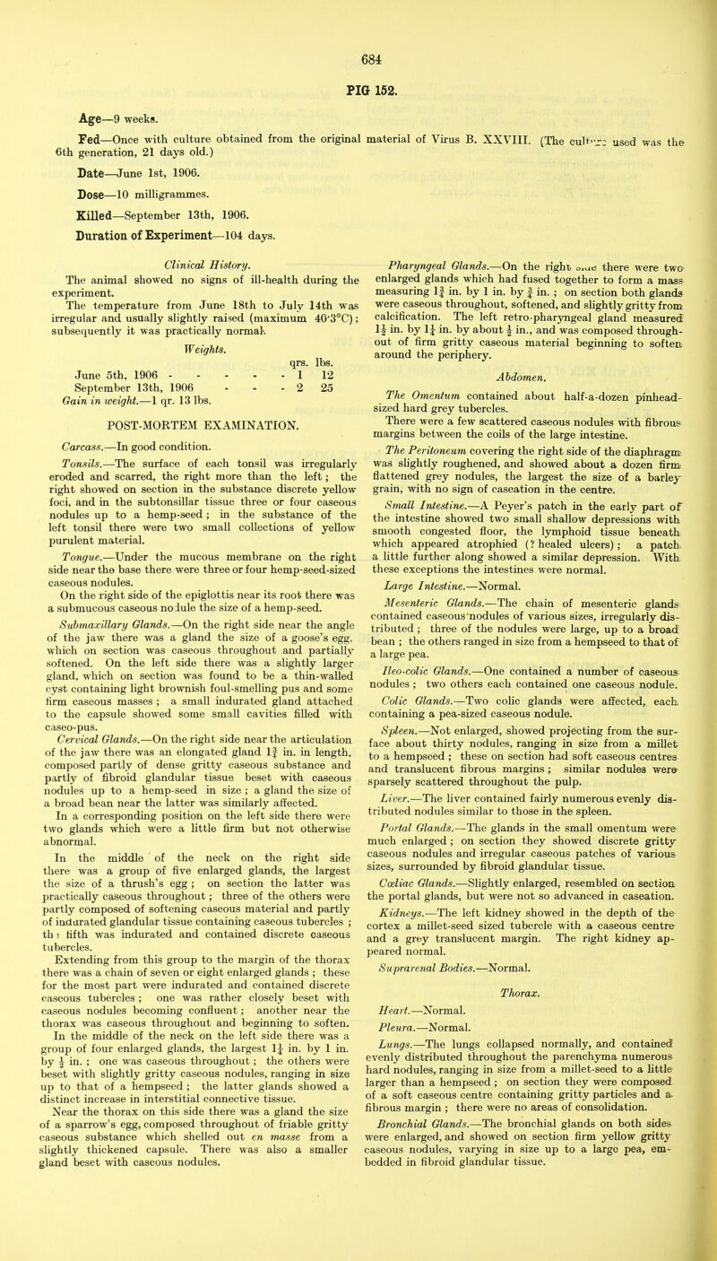 PIG 152. Age—9 weeks. Fed—Once with culture obtained from the original material of Virus B. XXVIII. (The cuH'tc used was the 6th generation, 21 days old.) Date—June 1st, 1906. Dose—10 milligrammes. Killed—September 13th, 1906. Duration of Experiment—104 days. Clinical History. The animal showed no signs of ill-health during the experiment. The temperature from June 18th to July 14th was irregular and usually slightly raised (maximum 403°C); subsequently it was practically normal-. Weights. qrs. lbs. June 5th, 1906 - - - - - 1 12 September 13th, 1906 • - - 2 25 Gain in weight.—1 qr. 13 lbs. POST-MORTEM EXAMINATION. Carcass.—In good condition. Tonsils.—The surface of each tonsil was irregularly eroded and scarred, the right more than the left; the right showed on section in the substance discrete yeUow foci, and in the subtonsiUar tissue three or four caseous nodules up to a hemp-seed ; in the substance of the left tonsil there were two small collections of yellow purulent material. Tongue.—Under the mucous membrane on the right side near the base there were three or four hemp-seed-sized caseous nodules. On the right side of the epiglottis near its root there was a submucous caseous nodule the size of a hemp-seed. Submaxillary Glands.—On the right side near the angle of the jaw there was a gland the size of a goose's egg, which on section was caseous throughout and partially softened. On the left side there was a slightly larger gland, which on section was found to be a thin-walled cyst containing light brownish foul-smelling pus and some firm caseous masses ; a small indurated gland attached to the capsule showed some small cavities filled with caseo-pus. Cervical Glands.—On the right side near the articulation of the jaw there was an elongated gland If in. in length, composed partly of dense gritty caseous substance and partly of fibroid glandular tissue beset with caseous nodules up to a hemp-seed in size ; a gland the size of a broad bean near the latter was similarly affected. In a corresponding position on the left side there were two glands which were a little firm but not otherwise abnormal. In the middle of the neck on the right side there was a group of five enlarged glands, the largest the size of a thrush's egg ; on section the latter was practically caseous throughout; three of the others were partly composed of softening caseous material and partly of indurated glandular tissue containing caseous tubercles ; th > fifth was indurated and contained discrete caseous tubercles. Extending from this group to the margin of the thorax there was a chain of seven or eight enlarged glands ; these for the most part were indurated and contained discrete caseous tubercles ; one was rather closely beset with caseous nodules becoming confluent; another near the thorax was caseous throughout and beginning to soften. In the middle of the neck on the left side there was a group of four enlarged glands, the largest 1^ in. by 1 in. by ^ in. ; one was caseous throughout; the others were beset with slightly gritty caseous nodules, ranging in size up to that of a hempseed ; the latter glands showed a distinct increase in interstitial connective tissue. Near the thorax on this side there was a gland the size of a sparrow's egg, composed throughout of friable gritty caseous substance which shelled out en masse from a slightly thickened capsule. There was also a smaller gland beset with caseous nodules. Pliaryngeal Glands.—On the right o^^e there were two enlarged glands which had fused together to form a mass measuring If in. by 1 in. by | in. ; on section both glands were caseous throughout, softened, and slightly gritty from calcification. The left retro-pharyngeal gland measured 1^ in. by 1J in. by about | in., and was composed through- out of firm gritty caseous material beginning to softeit around the periphery. Abdomen, The Omentum contained about half-a-dozen pinhead- sized hard grey tubercles. There were a few scattered caseous nodules with fibrous margins between the coils of the large intestine. The Peritoneum covering the right side of the diaphragm was slightly roughened, and showed about a dozen firm' fiattened grey nodules, the largest the size of a barlejr grain, with no sign of caseation in the centre. Small Intestine.—A Peyer's patch in the early part of the intestine showed two small shallow depressions with smooth congested floor, the lymphoid tissue beneath which appeared atrophied (? healed ulcers); a patch, a little further along showed a similar depression. With, these exceptions the intestines were normal. Large Intestine.—Normal. Mesenteric Glands.—The chain of mesenteric glands contained caseous nodules of various sizes, irregularly dis- tributed ; three of the nodules were large, up to a broad bean ; the others ranged in size from a hempseed to that of a large pea. Ileo-colic Glands.—One contained a number of caseous- nodules ; two others each contained one caseous nodule. Colic Glands.—Two colic glands were affected, each, containing a pea-sized caseous nodule. Spleen.—Not enlarged, showed projecting from the sur- face about thirty nodules, ranging in size from a millet to a hempseed ; these on section had soft caseous centres and translucent fibrous margins; similar nodules were- sparsely scattered throughout the pulp. Liver.—The liver contained fairly numerous evenly dis- tributed nodules similar to those in the spleen. Portal Glands.—The glands in the small omentum were much enlarged; on section they showed discrete gritty caseous nodules and irregular caseous patches of various sizes, surrounded by fibroid glandular tissue. Cceliac Glands.—Slightly enlarged, resembled on section the portal glands, but were not so advanced in caseation. Kidneys.—The left kidney showed in the depth of the cortex a millet-seed sized tubercle with a caseous centre and a grey translucent margin. The right kidney ap- peared normal. Suprarenal Bodies.—Normal. Thorax. Heart. —Normal. Pleura.—Normal. Lungs.—The lungs collapsed normally, and contained evenly distributed throughout the parenchyma numerous hard nodules, ranging in size from a millet-seed to a little larger than a hempseed; on section they were composed of a soft caseous centre containing gritty particles and a fibrous margin ; there were no areas of consoUdation. Bronchial Glands.—The bronchial glands on both sides were enlarged, and showed on section firm yellow gritty caseous nodules, var3ang in size up to a large pea, em- bedded in fibroid glandular tissue.