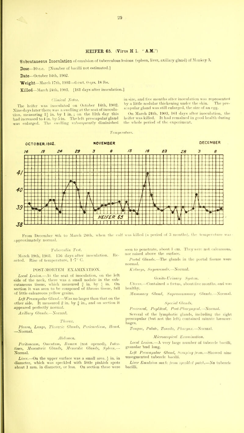 139 HEIFER 65. (Virus H 1. ' A.M.) Subcutaneous Inoculation of emulsion of tuberculous lesions (spleen, liver, axillary gland) of .Monkey 3. Dose—10 c.c. [Number of bacilli not estimated.] Date—October 14th, 1902. Weight—Marcli ITtli, 1903—G cwt. iu^rs. IS lbs. Killed—:March 24tli, 190.3. [161 days after inoculation.] Clinical Notes. The heifer -was inoculated on October l-4th, 1902. Nine days later there was a swelling at the seat of inocula- tion, measuring 11 in. by 1 in. ; on the 11th day this had increased to 4 in. by 5 in. The left i^rescapular gland was enlarged. The swelling subsequently tliminished in size, and live months after inoculation was rcjiresented by a little nodular thickening under the skin. The iire- soapular gland was still enlarged, the size of an egg. On March 24th, 1903, Kil days after iuocuhition, the heifer was killed. It had remained in good health during the whole period of tlie experiment. 'frinporiture. OCTOBER. (S02. /4 /9 From December Sth to .March 24th. when the (-ilf approximately normivl. Tuhcrculin T<:<t. .Miireli 19th. 1903. 1.56 days after inoculation. Re- acted. Rise of temperature, 17 C. POST-MORTE.M EX-\MIX-\T10X. Local Lesion.—-\t the seat of inoculation, on the left •side of the neck, there was a small nodule in the sub- cutaneous tissue, which measured J in. bj' \ in. On section it was seen to be composed of fibrous tissue, full of little calcareous yellow grains. Left Prescapular Gland.—Was no larger than that on the other side. It measured 2 in. by f in., and on section it .appeared perfectly normal. A X ill a 11/ Glanfli.—X o m a 1. Thorax. Pleura, Lungs, Tlioracic Glands, Ftricardiiuii, Heart. —Xormal. Abdomen, Peritoneum, Omentum, Rumen (not opened). Intes- tines, Mesenteric Glands, Mesocolie Glands, Spleen.—■ Normal. Liver.—On the upper surface was a small area, J in. in diameter, which was speckled with little pinkish spots about 1 mm. in diameter, or less. On section these were was killed (a jicriod of .3 luoiiths). Itie 1:cm|)(M-:i 1 ure was seen to penetrate, about ) cm. Thcywriv not '•alciueous, nor raised above the surface. Portal Glands.—The glands in the ))urtal fissure were normal. Kidnei/s, SupritrenHl.—Normal. Genito-U rinarii ,Si/stcni. Uterus.—Contained a fielus, al)outliv^c months, and was healthy. JIammdri/ aland, Sujiru nt'iiiniKirf/ Glands.—Xoiinal. Sprrial Glands. Pri'crural. Popliteal, Pnst-Pkar!/n',/cal.—No\:ma,l. Several of the lymphatic glands, including the right prescapular (hut Jiot the left) contained minute heemorr- hages. Tongue, Palate, Tonsils, Phari/nx.—Normal. Mieroscopiral LJ.rainination. Local Lesion.—-A very large number of tubercle bacilli, granular ^ind long. Left Prescapular Gland, raping from.—Showed nine unsegmented tubercle bacilli. Liixr Emulsion ma le from, sp'xkled patch..—No tubercle baciUi.