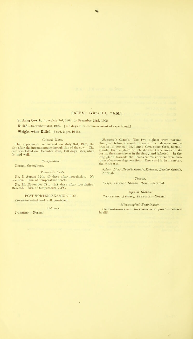 CALF 53. (Virus H 1. A.M.) Sucking Cow 43 from July 3rd, 1902, to December 23rd, 1902. Killed—December 23rd, 1902. [173 days after commencement of experiment.] Weight when Killed—3 cwt. 2 qrs. 10 lbs. Clinical Notes. The experiment commenced on July 3rd, 1902, the day after the intramammary inoculation of the cow. The calf was killed on December 23rd, 173 daj'S later, when fat and well. Temperature. Normal throughout. Tiiherculin Tests. No. I. August 12th, 40 days after inoculation. No reaction. Rise of temperature 05°C. No. II. November 28th, 148 days after inoculation. Reacted. Rise of temperature 23°C. POST-MORTEM EX .A.MIX A11 ()X. Condition.—Fat and wHl nourished. Ahdflinen. Intestines.—Normal. Mesenteric Glands.—The two highest were normal. One just below showed on section a calcareo-caseous area in its cortex ] in. long ; then came three normal glands, then a gland which showed three areas in its cortex the same size as in the first gland infected. In the long gland towards the ileo-ca;cal valve there were two areas of caseous degeneration. One was \ in. in diameter, the other 2 in. Spleen, Liver, Hepatic Glands, Kidneys, Lumbar Glands. —Normal. Thorax. Lungs, Thoracic Glands, //p^Jr^—Normal. Special Glands. Prescapular, Axillary, Precrural.—^orn\A\. Microsrnpical Examination. C'aseo-calcareous ana fn/m mesentfric r/lan/L—Tubercle bacilli.