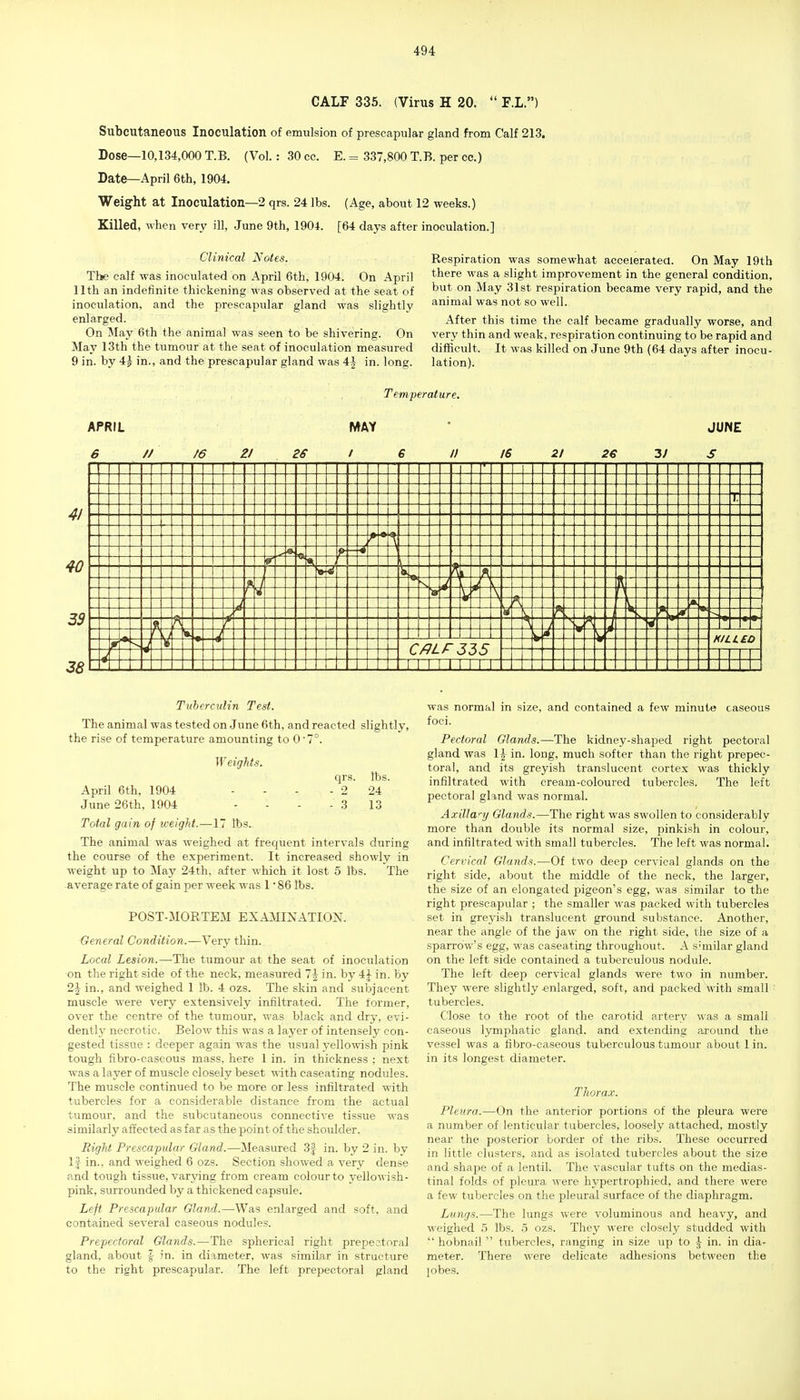 CALF 335. (Virus H 20.  F.L.) Subcutaneous Inoculation of emulsion of prescapular gland from Calf 213. Dose—10,134,000 T.B. (Vol.: 30 cc. E. = 337,800 T.B. per cc.) Date—April 6th, 1904. Weight at Inoculation—2 qrs. 24 lbs. (Age, about 12 weeks.) Killed, when very ill, June 9th, 1904. [64 days after inoculation.] Clinical Notes. The calf was inoculated on April 6th, 1904. On April 11th an indefinite thickening was observed at the seat of inoculation, and the prescapular gland was slightly enlarged. On May 6th the animal was seen to be shivering. On May 13th the tumour at the seat of inoculation measured 9 in. by 4^ in., and the prescapular gland was 4^ in. long. Respiration was somewhat acceleratea. On May 19th there was a slight improvement in the general condition, but on May 31st respiration became very rapid, and the animal was not so well. After this time the calf became gradually worse, and very thin and weak, respiration continuing to be rapid and difficult. It was killed on June 9th (64 days after inocu- lation). Temperature. APRIL MAY JUNE 6 // /6 Zl 26 I € n 16 21 2€ 3/ S 41 33 38 1 KILLSD Tuberculin Test. The animal was tested on June 6th, and reacted slightly, the rise of temperature amounting to 0'7°. Weights. April 6th, 1904 June 26th, 1904 qrs tbs. 24 13 Total gain of weigfit.—17 lbs.. The animal was weighed at frequent intervals during the course of the experiment. It increased showly in weight up to May 24th. after which it lost 5 lbs. The average rate of gain per week was 1 • 86 lbs. POST-MORTEM EXAJVIINATION. General Condition.—Very thin. Local Lesion.—The tumour at the seat of inoculation on the right side of the neck, measured 7| in. by 4^ in. by 2\ in., and weighed 1 lb. 4 ozs. The skin and subjacent muscle were very extensively infiltrated. The former, over the centre of the tumour, was black and dry, evi- dentlj' necrotic. Below this was a layer of intensely con- gested tissue : deeper again was the usual yellowsh pink tough fibro-caseous mass, here 1 in. in thickness ; next was a layer of muscle closely beset with caseating nodules. The muscle continued to be more or less infiltrated with tubercles for a considerable distance from the actual tumour, and the subcutaneous connective tissue was similarly affected as far as the point of the shoulder. RigM Prescapular Gland.—Measured 3f in. by 2 in. by If in., and weighed 6 ozs. Section showed a very dense and tough tissue, varying from cream colour to yellowish- pink, surrounded by a thickened capsule. Left Prescapular Gland.—Was enlarged and soft, and contained several caseous nodules. Prepectoral Glands.—The spherical right prepeotoral gland, about | in. in diameter, was similar in structure to the right prescapular. The left prepectoral gland was normal in size, and contained a few minute caseous foci. Pectoral Glands.—The kidney-shaped right pectoral gland was 1| in. long, much softer than the right prepec- toral, and its greyish translucent cortex was thickly infiltrated with cream-coloured tubercles. The left pectoral gland was normal. AxiUanj Glands.—The right was swollen to considerably more than double its normal size, pinkish in colour, and infiltrated with small tubercles. The left was normal. Cervical Glands.—Of two deep cervical glands on the right side, about the middle of the neck, the larger, the size of an elongated pigeon's egg, was similar to the right prescapular ; the smaller was packed with tubercles set in greyish translucent ground substance. Another, near the angle of the jaw on the right side, the size of a sparrow's egg, was caseating throughout. A similar gland on the left side contained a tuberculous nodule. The left deep cervical glands were two in number. They were slightly -enlarged, soft, and packed with small ■ tubercles. Close to the root of the carotid artery was a small caseous lymphatic gland, and extending around the vessel was a fibro-caseous tuberculous tumour about 1 in. in its longest diameter. Thorax. Pleura.—On the anterior portions of the pleura were a number of lenticular tubercles, loosely attached, mostly near the posterior border of the ribs. These occurred in little clusters, and as isolated tubercles about the size and shape of a lentil. The vascular tufts on the medias- tinal folds of pleura were hypertrophied, and there were a few tubercles on the pleural surface of the diaphragm. Lungs.—The lungs were voluminous and heavy, and weighed 5 lbs. 5 ozs. They were closely studded with  hobnail  tubercles, ranging in size up to J in. in dia- meter. There were delicate adhesions between the jobes.
