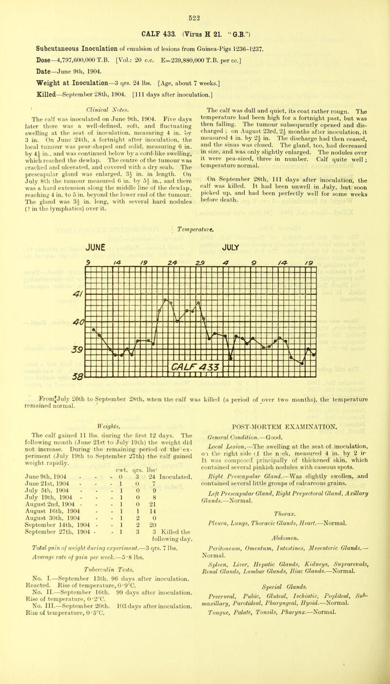 CALF 433. (Virus H 21.  G.B.) Subcutaneous Inoculation of emulsion of lesions from Guinea-Pigs 1236-1237. Dose^,797,600,000 T.B. [Vol.: 20 c.c. E=239,880,000 T.B. per cc] Date—June 9th, 1904. Weight at Inoculation—3 qrs. 24 lbs. [Age, about 7 weeks.] Killed—September 28th, 1904. [Ill days after inoculation.] ' Clinical Notes. The calf was inoculated on June 9th, 1904. Five days later there was a well-defined, soft, and fluctuating swelling at the seat of inoculation, measuring 4 in. by 3 in. On June 24th, a fortnight after inoculation, the local tumour was pear-shaped and solid, measuring 6 in. by 4^ in., and was continued below by a cord-like swelling, which reached the dewlap. The centre of the tumour was cracked and ulcerated, and covered with a dry scab. The prescapular gland was enlarged, 3^- in. in length. On July 8th the tumour measured 6 in. by 5} in., and there was a hard extension along the middle line of the dewlap, reaching 4 in. to 5 in. beyond the lower end of the tumour. The gland was 3|- in. long, with several hard nodules (? in the lymphatics) over it. The calf was dull and quiet, its coat rather rougn. The temperature had been high for a fortnight past, but was then falling. The tumour subsequently opened and dis- charged ; on August 23rd, 2^ months after inoculation, it measured 4 in. by 2| in. The discharge had then ceased, and the sinus was closed. The gland, too, had decreased in size, and was only slightly enlarged. The nodules over it were pea-sized, three in number. Calf c^uite well ; temperature normal. On September 28th, 111 days after inoculation, the calf was killed. It had been unwell in July, but soon picked up, and had been perfectly well for some weeks before death. FromJJuly 20th to September 28th, wben the calf was killed (a period of over two months), the temperature remained normal. W eights. The calf gained 11 lbs. during the first 12 days. The following month (June 21st to July 19th) the weight did not increase. During the remaining period of the ex- periment (July 19th to September 27th) the calf gained weight rapidly. cwt. qrs. lbs* June 9th, 1904 - - - 0 3 24 Inoculated. June 21st, 1904 ..- 1 0 7 July 5th, 1904 - - - 1 0 9 July 19th, 1904 ... 1 0 8 August 2nd, 1904 - - - 1 0 21 August 16th, 1904 - - 1 1 14 August 30th, 1904 - - 1 2 0 September 14th, 1904 - - 1 2 20 September 27th, 1904 - - 1 3 3 Killed the following day. Total gain of weight during experiment.—3 qrs. 7 lbs. Average rate of gain per week.—.5 8 lbs. Tuberculin Tests. No. I.—September 13th. 96 days after inoculation. Reacted. Rise of temperature, 0 •9°C. No. II.—September 16th. 99 days after inoculation. Rise of temperature, 0-2°C. No. III.—September 20th. 103 days after inoculation. Rise of temperature, 05°C. POST-MORTEM EXAMINATION. General Condition.—Good. Local Lesion,—The swelling at the seat of inoculation, OT the right side rf the n ck, measured 4 in. by 2 ir It was competed principally of thickened skin, which contained several pinkish nodules with caseous spots. Bight Prescapular Gland.—Was slightly swollen, and contained several little groups of calcareous grains. Left Prescapidar Gland, Right Prepectoral Gland, Axillary Glands.—Normal. Thorax. Pleura, Lungs, Thoracic Glands, Heart. Ahdomen. -Normal. Peritoneum, Omentum, Intestines, Mesenteric Glands.— Normal. Spleen, Liver, Hepatic Glands, Kidneys, Suprarenals, Renal Glands, Lumbar Glands, Iliac Glands.—Normal. Special Glands. Precrural, Pubic, Gluteal, Ischiatic, Popliteal, Svf>- maxillary, Parotideal, Pharyngeal, Hyoid.—Normal. Tongue, Palate, Tonsils, Pharynx.—Normal.