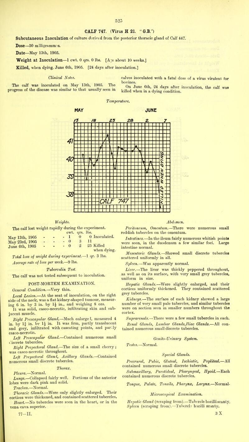 CALF 747. (Virus H 21.  G.B.) Subcutaneous Inoculation of culture derived from the posterior thoracic gland of Calf 447. Dose—50 milligrammes. Date—May 13th, 1905. Weight at Inoculation—1 cwt. 0 qrs. 0 lbs. [A^e about 10 weeks.J Killed, when dying, June 6th, 1905. [24 days after inoculation.] Clinical Notes. calves inoculated with a fatal dose of a virus virulent for The calf was inoculated on May 13th, 1905. The °orjune 6th, 24 days after inoculation, the calf was progress of the disease was similar to that usually seen in j^jy^^ ^j^^^^ ^ ^^-^^ condition. Temperature. MAY /5 /e 28 JUNE 2. -A 41 i 40 39 38 i CALF 747 Weights. The calf lost weight rapidly during the experiment. cwt. qrs. lbs. May 13th, 1905 - - - 1 0 0 Inoculated. May 23rd, 1905 - - - 0 3 11 June 6th, 1905 - - - 0 2 25 Killed when dying. Total loss of weight during experiment.—1 qr. 3 lbs. Average rate of loss per week.—9 lbs. Tuberculin Test. The calf was not tested subsequent to inoculation. POST-MORTExM EXAMINATION. General Condition.—Very thin. Local Lesion.—At the seat of inoculation, on the right side of the neck, was a flat kidney-shaped tumour, measur- ing 6 in. by 3 in. by IJ in., and weighing 8 ozs. It was solid, caseo-necrotic, infiltrating skin and sub- jacent muscle. Bight Prescapular Gland.—Much enlarge:!, measured 4 in. by If in. by IJ in. It was firm, partly translucent and grey, infiltrated with caseating points, and parlly caseo-necrotic. Left Prescapular Gland.—Contained numerous small tiscrete tubercles. Right Prepectoral Gland.—The size of a small cherry ; was caseo-necrotic throughout. Left Prepectoral Glani, Axillary Glands.—Contained numerous small discrete tubercles. Thorax, Pleura.—Normal. Lungs.—Collapsed fairly well. Portions of the anterior lobes were dark pink and solid. Trach ea. —Normal. Thoracic Glands.—Were only slightly enlarged. Their cortices were thickened, and contained scattered tubercles. Heart.—No tubercles were seen in the heart, or in the Ten a cava superior. 77-11. Abdomen. Peritoneum, Omentum.—There were numerous small reddish tubercles on the omentum. Intestines.—In the ileum fairly numerous whitish points were seen, in the duodenum a few similar foci. Large intestine normal. Mesenteric Glands.—Showed small discrete tubercles scattered uniformly in all. Spleen.—Was apparently normal. Liver.—The liver was thickly peppered throughout, as well as on its surface, with very small grey tubercles, uniform in size. Hepatic Glands.—Were slightly enlarged, and their cortices uniformly thickened. They contained scattered grey tubercles. Kidneys.—The surface of each kidney showed a large number of very small pale tubercles, and similar tubercles were on section seen in smaller numbers throughout the cortex. Suprarenals.—-There were a few small tubercles in each. Renal Glands, Lumbar Glands,Iliac Glands.—All con- tained numerous small discrete tubercles. Genito-Urinary System. Testes. —Normal. Special Glands. Precrural, Pubic, Gluteal, Ischiatic, Popliteal.—All contained numerous small discrete tubercles. Submaxillary, Parotideal, Pharyngeal, Hyoid.—Each contained numerous discrete tubercles. Tongue, Palate, Tonsils, Pharynx, Larynx.—Normal- Microscopical Examination. Hepatic Gland (scraping from).—Tubercle bacilli scanty. Spleen (scraping from).—Tubercl3 bacilli scanty. 3X