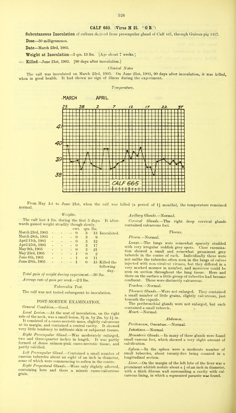 CALF 665. (Virus H 21.  G B.') Subcutaneous Inoculation of culture dtsrivcd froui prescapular gland of Calf 447, through Guinea-pig 1417. Dose—50 miUigrammes. Date—March 23rd, 1905. Weight at Inoculation—3 qrs. 13 lbs. [Age about 7 weeks.] BB£ Killed—June 21st, 1905. [90 days after inoculation.] Clinical Notes The calf was inoculated on March 23rd, 1905. On June 21st, 1903, 90 days after inoculation, it was killed, when in good health. It had sho\vn no sign of illness during the experiment. Temperahtre. -MARCH APRIL 1 -I -K :a: -s 1 f-^ \-- ■---\ 1 CA +t tt ■6 t+ 6i tt 41 39 38 novmll^ ^^^^ ^^^ *° '^^'^^ ^^^'^ '^^^'^^ period of 1^ months), the temperature remained Weights. The calf lost 4 lbs. during the first 5 days, wards gained weight steadily though slowly. cwt. qrs. lbs. It after- March 23rd,1905 March 28th, 1905 April nth, 1905 April 25th, 1905 May 9th, 1905 May 23rd, 1905 June 6th, 1905 June 20th. 1905 13 9 12 17 21 2 11 15 Inoculated. Killed the following day. Total gain of weight during experiment.—30 lbs. Average rate of gain per week.—2-3 lbs. Tuberculin Test. The calf was not tested subsequent to moculation. POST-MORTEM EXAMINATION. General Condition.—Good. Local Lesion.—the seat of inoculation, on the right side of the neck, was a small lesion, 3^ in. by 2in. by 1|- in. It consisted of a caseo-necrotic mass, slightly calcareous at its margm, and contained a central cavity. It showed very little tendency to infiltrate skin or subjacent tissues. Right Prescapular Gland.—Was moderately enlarged, two and three-quarter inches in length. It was partly formed of dense salmon-pink caseo-necrotic tissue, and partly calcified. Left Prescapular CTawrf.—Contained a small number of caseous tubercles about an eight of an inch in diameter, some of which were commencing to soften in the centre. Bight Prepectoral Glands.—Were only slightly affected, contaLnins; here and there a minute caseo-calcareous grain. Axillary Glands.—Normal. Cervical Glands.—-The right contained calcareous foci. deep cervical glands Thorax. Pleura. —^Norm a 1. Lungs.—The lungs were somewhat sparsely studded with very irregular reddish grey spots. Close examina- tion showed a small and somewhat prominent grey tubercle in the centre of each. Individually these were not unlike the tubercles often seen in the lungs of calves injected witli non-virulent viruses, but they differed in a very mirked manner in number, and moreover could be seen on section throughout the lung tissue. Here and there on the surface a little group of tubercles had become confluent. These were distinctly calcareous. Trachea.—Normal. Thoracic Glands.—Were not enlarged. They contained a small number of little grains, slightly calcareous, just beneath the capsule. The peribronchial glands were not enlarged, but each contained a small tubercle. Heart.—Normal. Abdomen. Peritoneum, Omentum.—Normal. Intestines.—Normal. Mesenteric Glands.—In many of these glands were found small caseous foci, which showed a very slight amount of calcification. Spleen.—In the spleen were a moderate number of small tubercles, about twenty-five being counted in a longitudinal section. Liver.—On the margin of the left lobe of the liver was a prominent whitish nodule about a | of.an inch in diameter, with a thick fibrous wall surrounding a cavity with cal- careous lining, in which a segmented parasite was found.